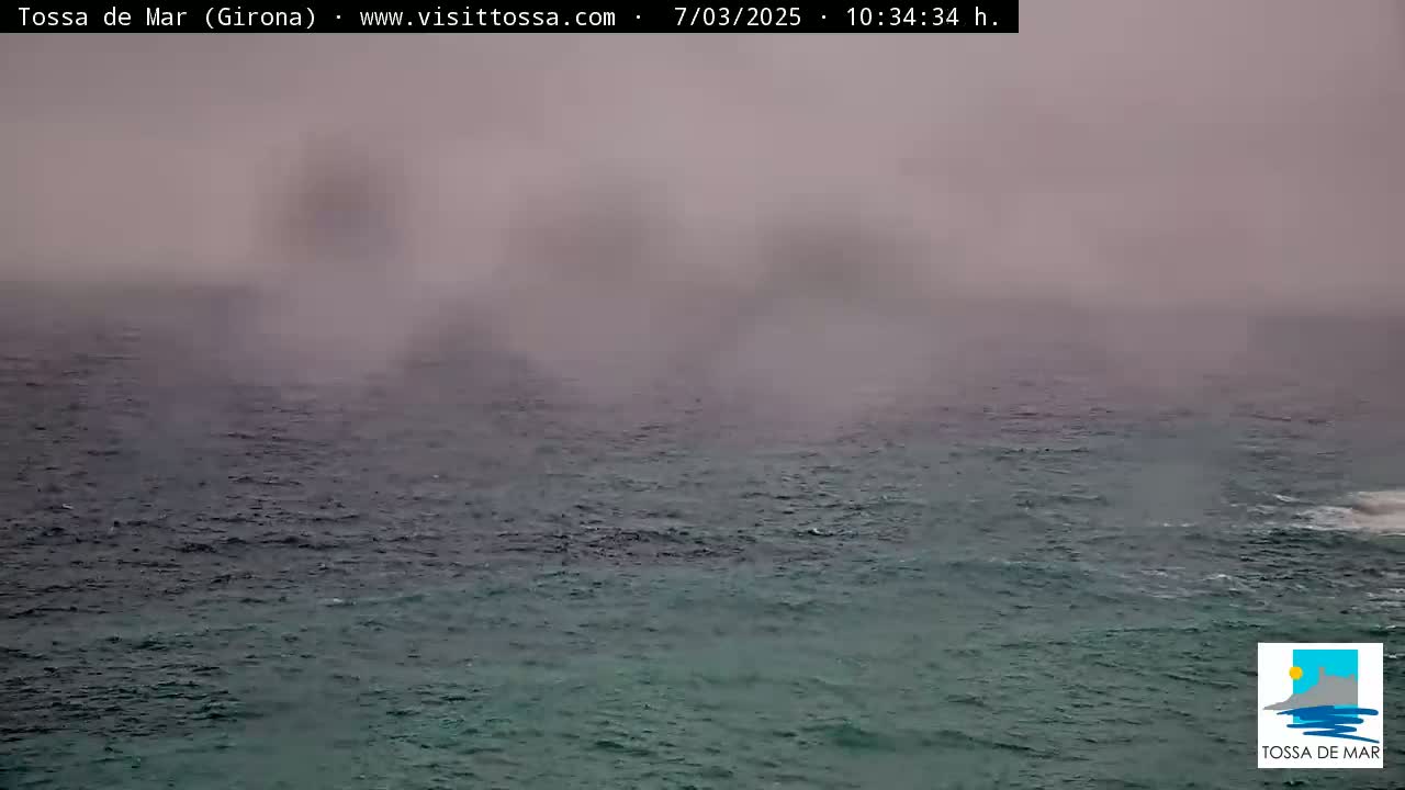 A foggy view of a dark-green ocean with subtle waves.