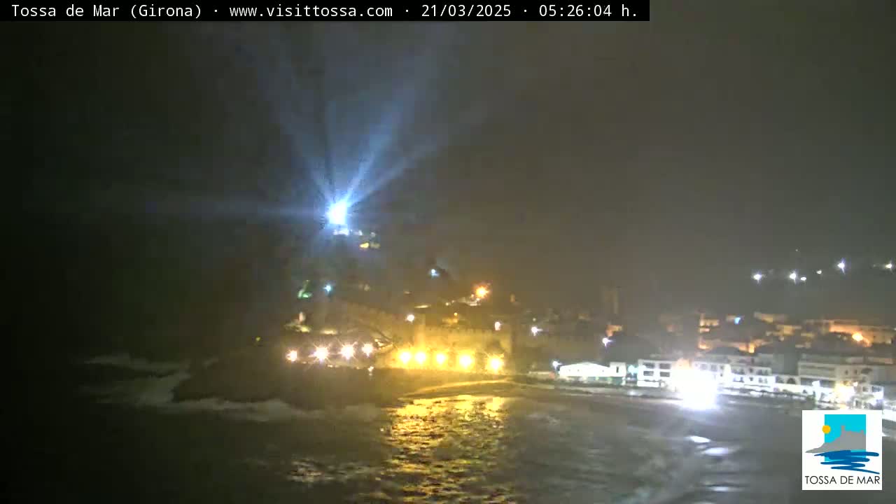A nighttime coastal town is illuminated by artificial lights, with waves gently lapping at the shore under a dark sky.