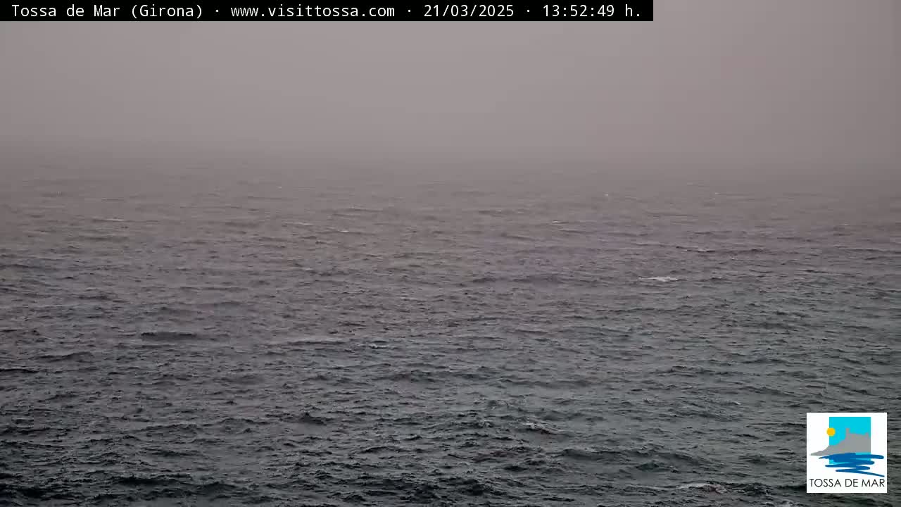 A hazy, overcast day shows a dark, wavy ocean stretching to the horizon.