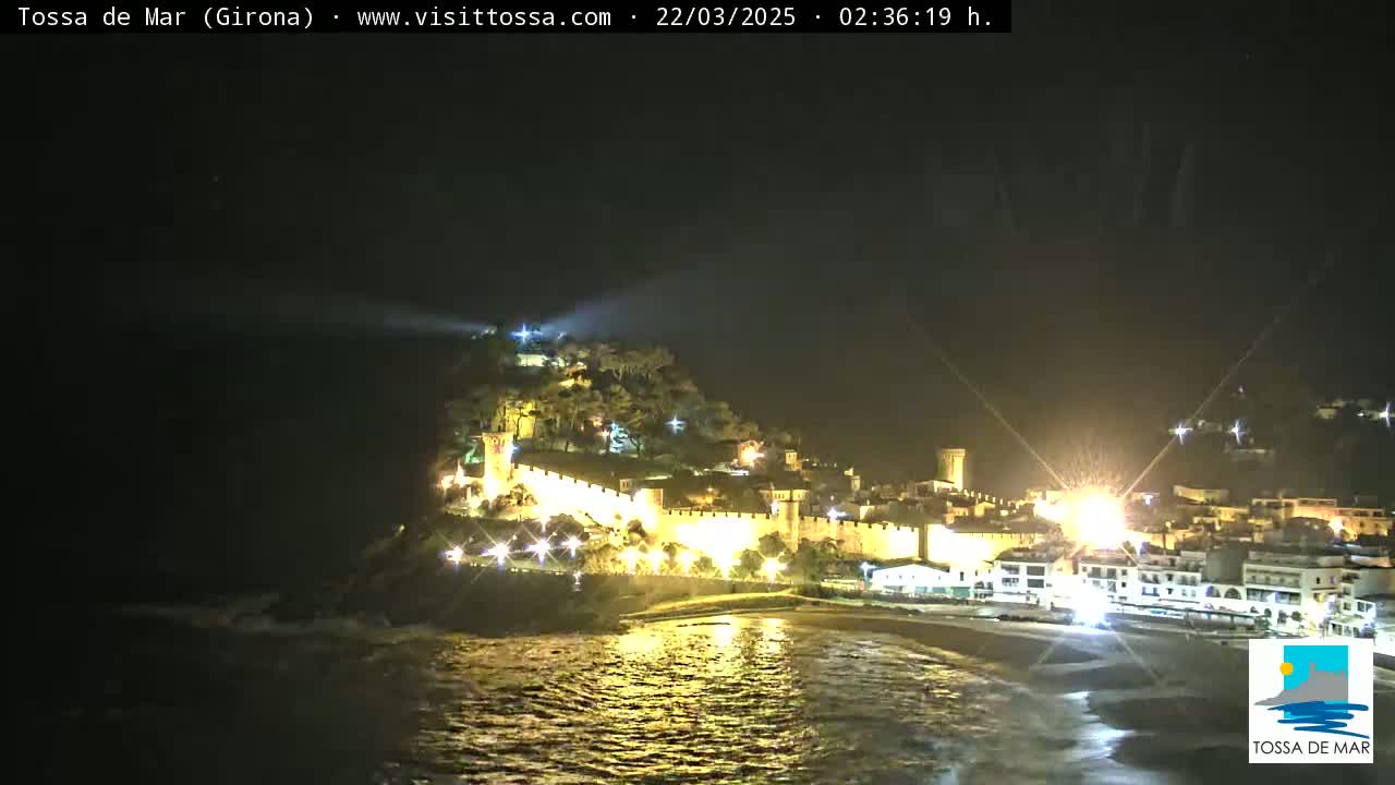 A nighttime view of a coastal town with a walled castle, illuminated by lights, under a dark sky.