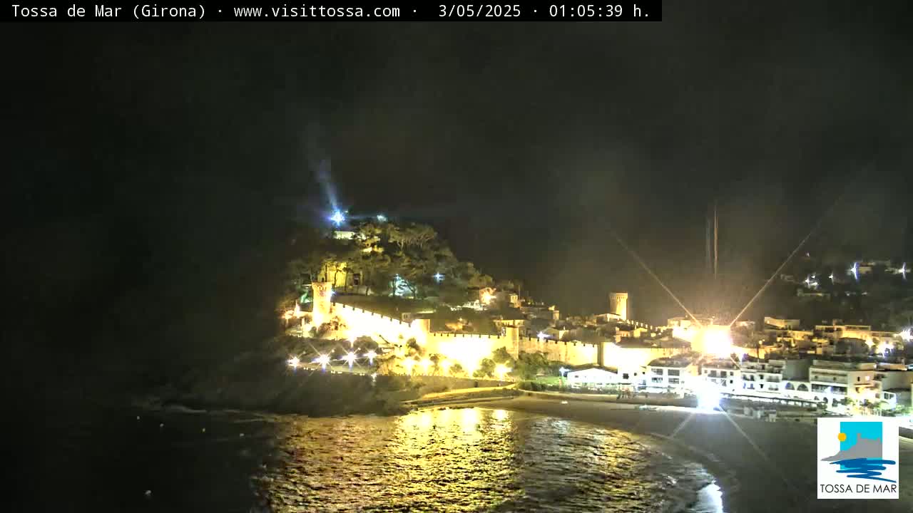 A nighttime coastal town with a walled fortress is illuminated, overlooking a calm, dark body of water.