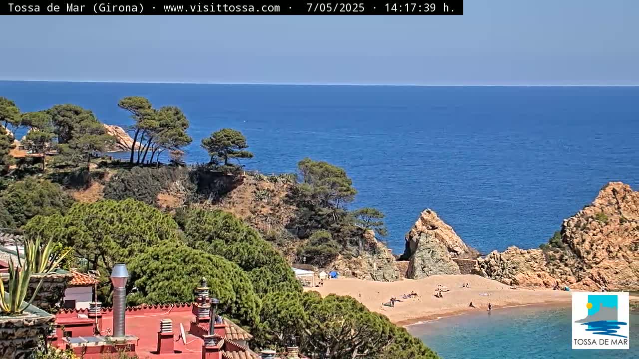 A sunny coastal scene shows a sandy beach cove nestled between rocky outcrops, surrounded by lush green pine trees and overlooking a calm blue sea.