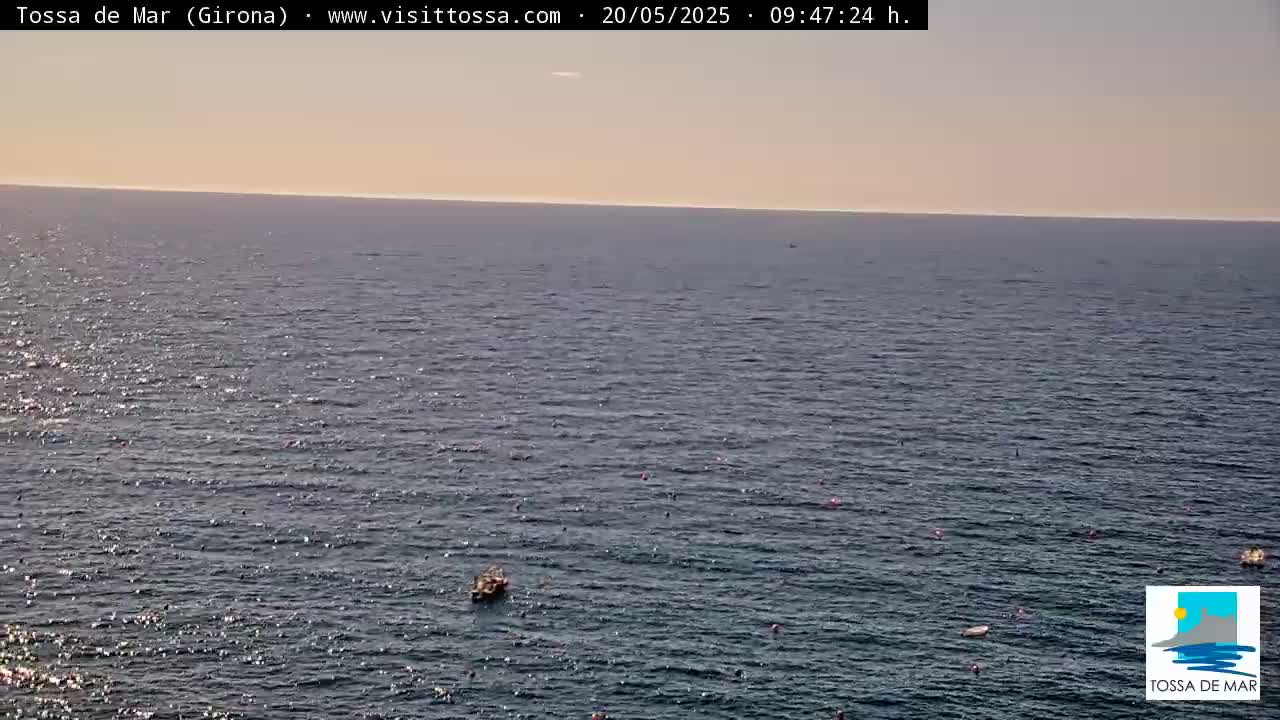 A calm, sunny ocean with a small boat visible in the distance.