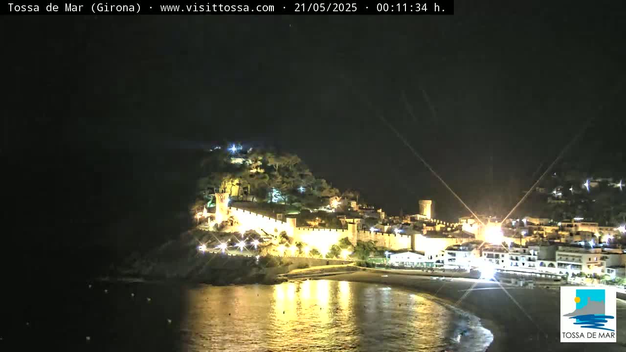 A nighttime view of a coastal town with a medieval walled city perched on a hill overlooking a dark beach and calm water.