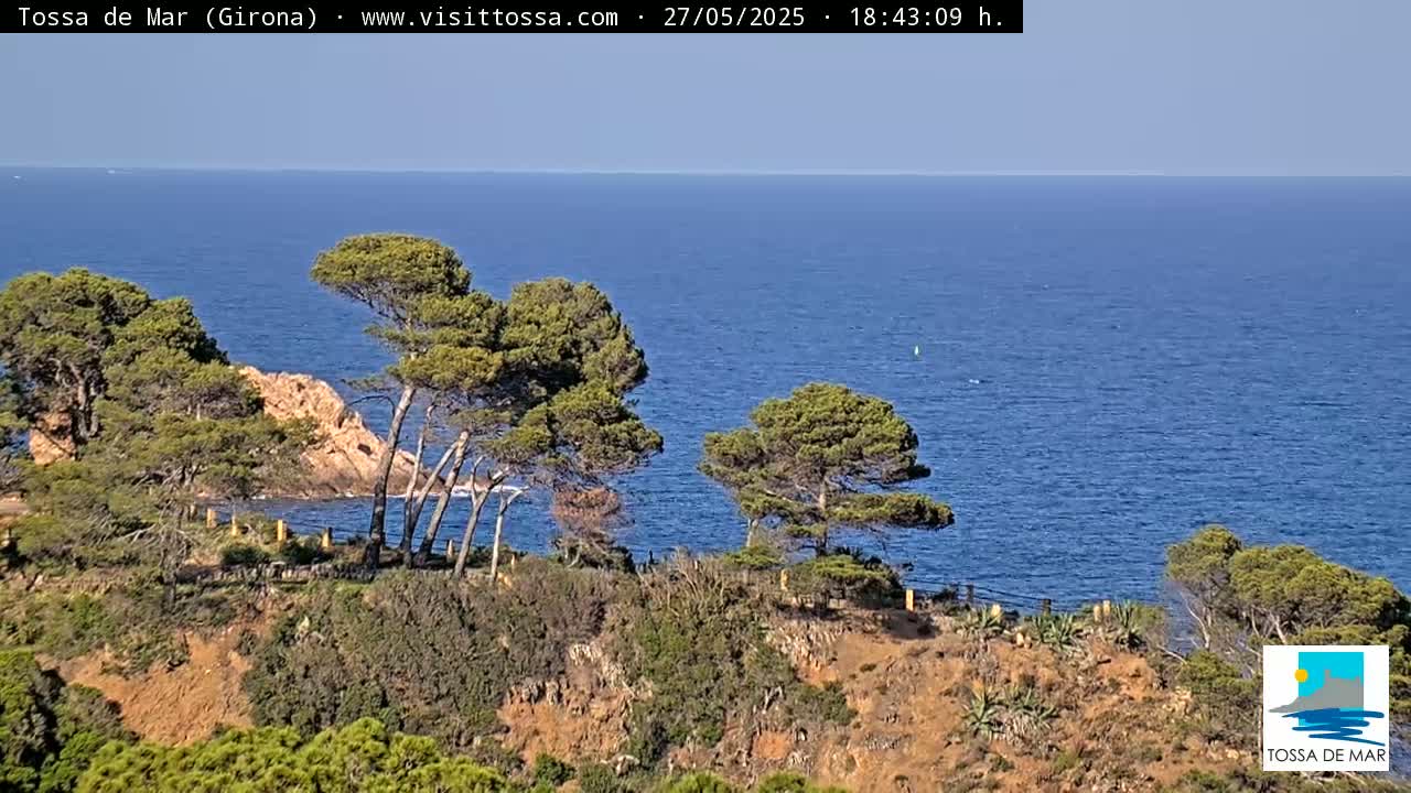 A coastal view shows a calm blue sea under a clear sky, with dark green pine trees growing on a reddish-brown cliff overlooking the water.