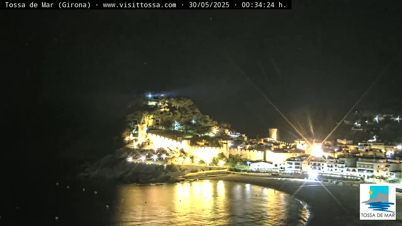 A nighttime view of a coastal town with a castle and illuminated walls, overlooking a calm, dark body of water under a clear, starlit sky.