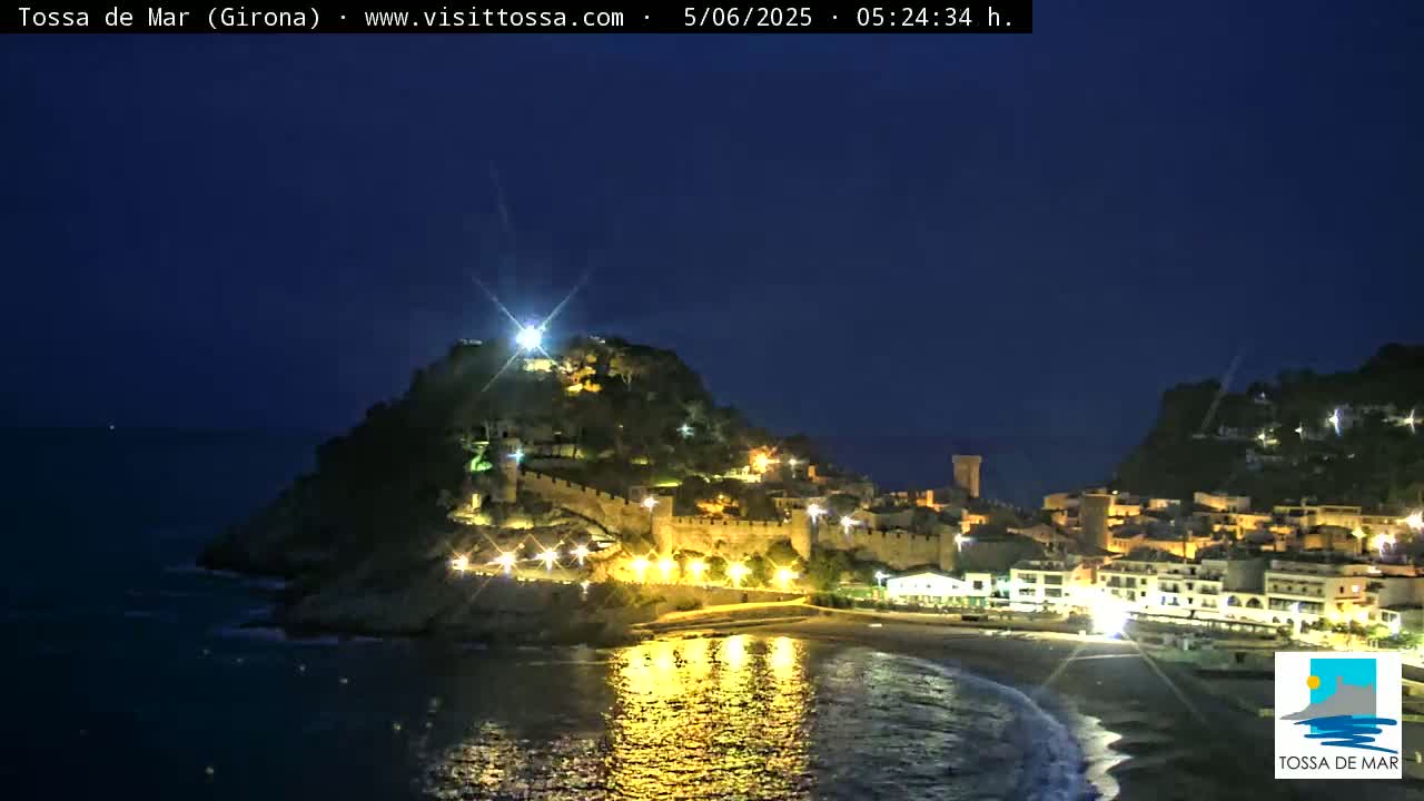 A nighttime view of a coastal town illuminated, nestled against a hilltop castle, under a clear dark sky.