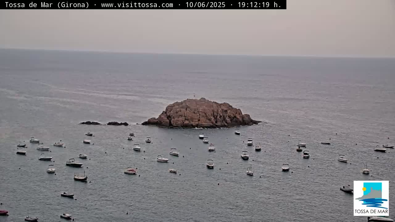 Many small boats are scattered in calm, gray water surrounding a small, rocky island under an overcast sky.