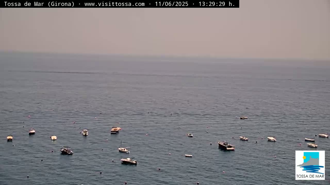 A hazy, calm sea dotted with numerous small boats.