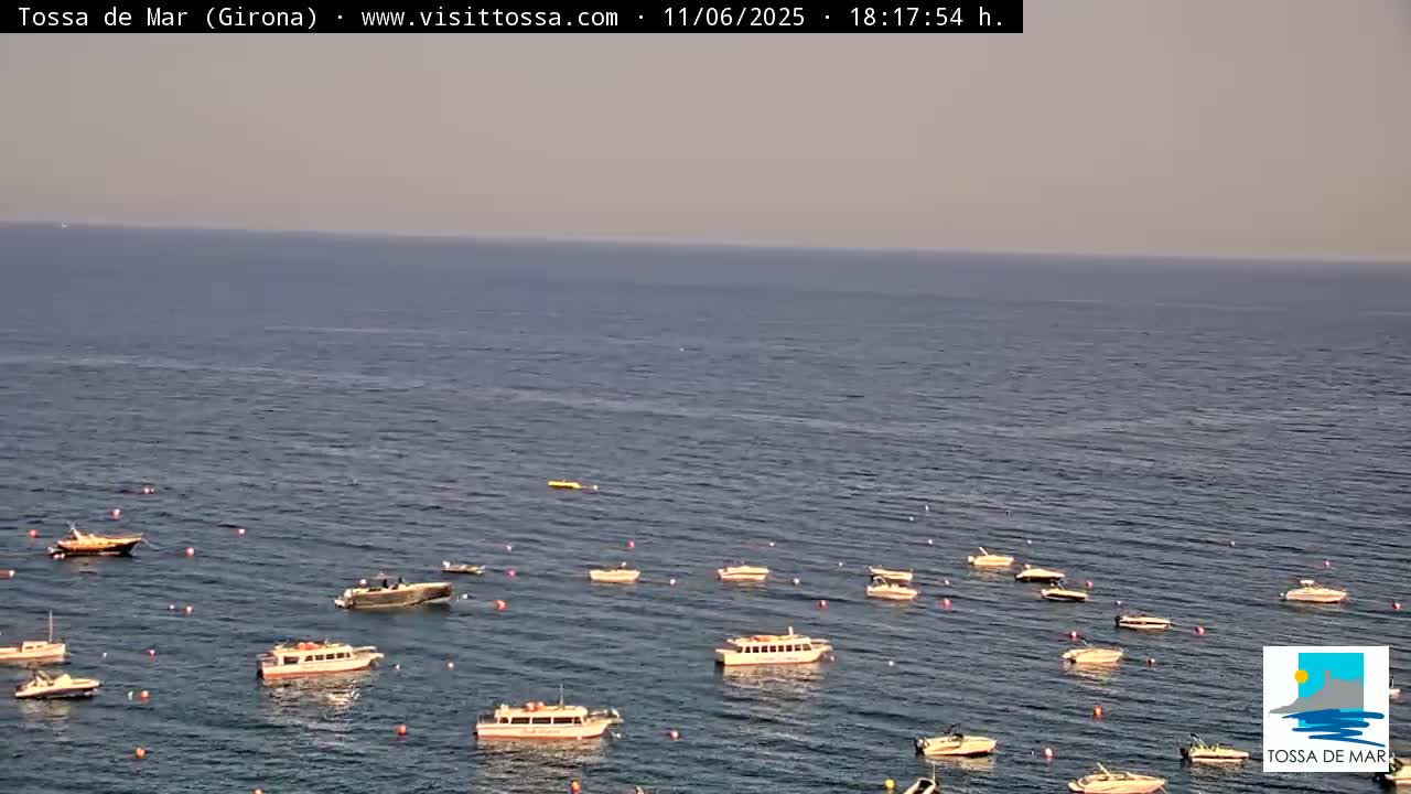 Many small boats are anchored in a calm sea under a hazy sky.