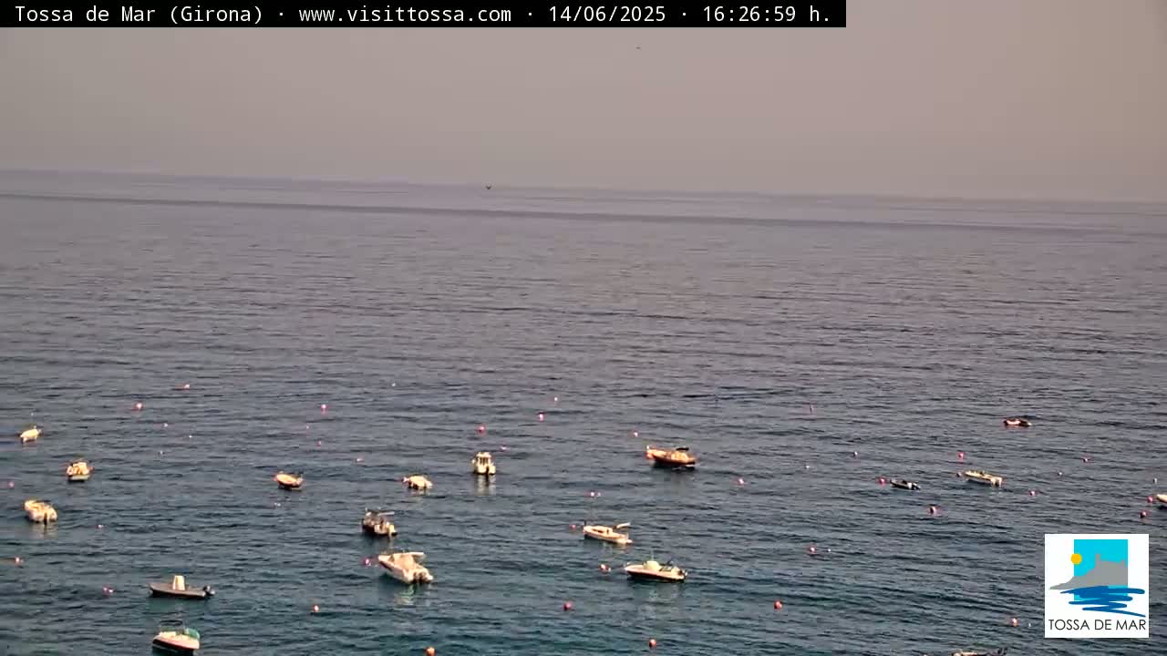 A calm, hazy sea with numerous small boats scattered across its surface.