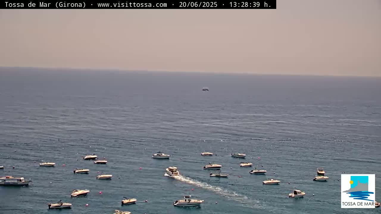 Numerous small boats are scattered across a calm, hazy sea.