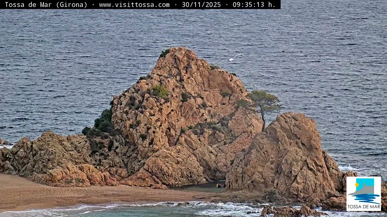 Clear weather illuminates a rugged coastline dominated by a large rocky island with scattered vegetation and a lone tree, flanked by smaller rock formations, a segment of sandy beach, gentle blue-grey ocean waves, and a seagull in flight, with two people visible in small boats within a rocky inlet.
