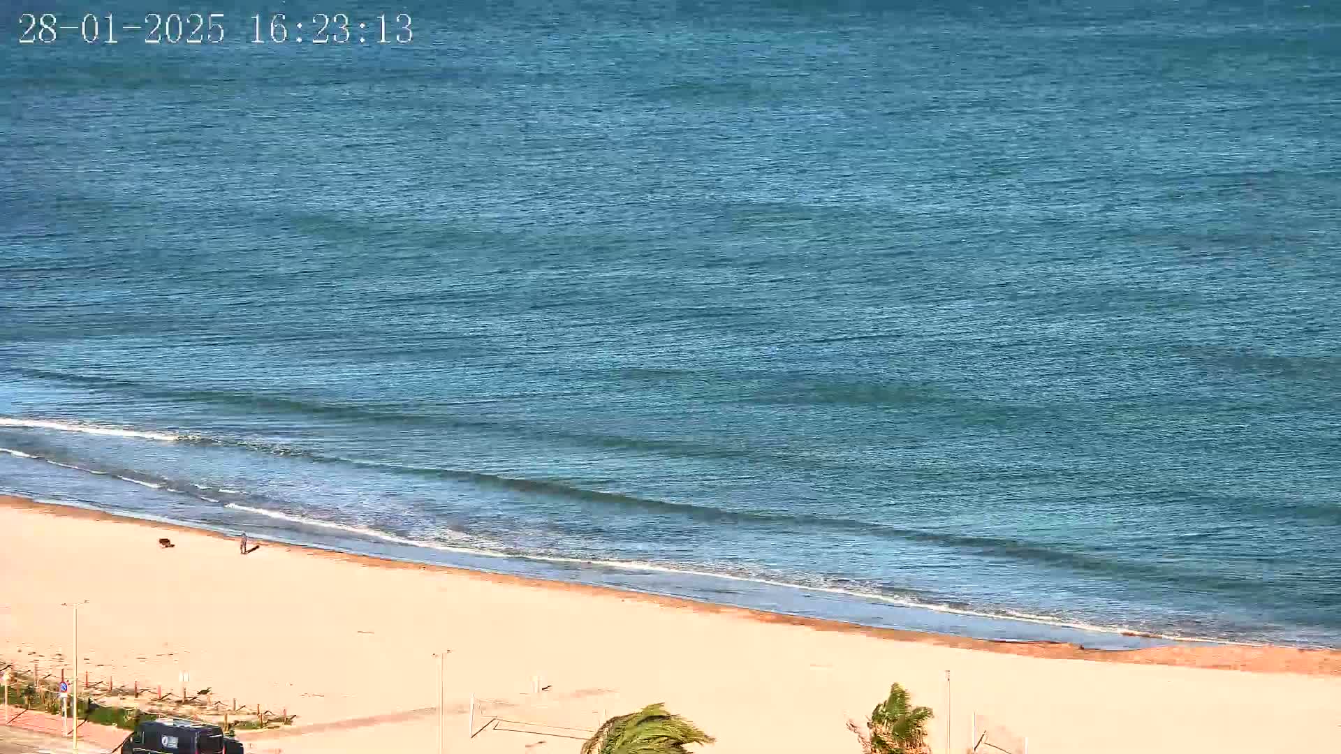 A sandy beach with a person and two dogs on it meets a calm, blue ocean under a clear sky.