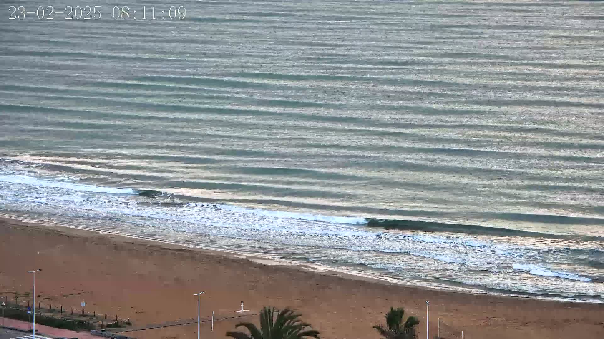 An aerial view shows a sandy beach meeting a calm, gently-lapping ocean under a clear sky.