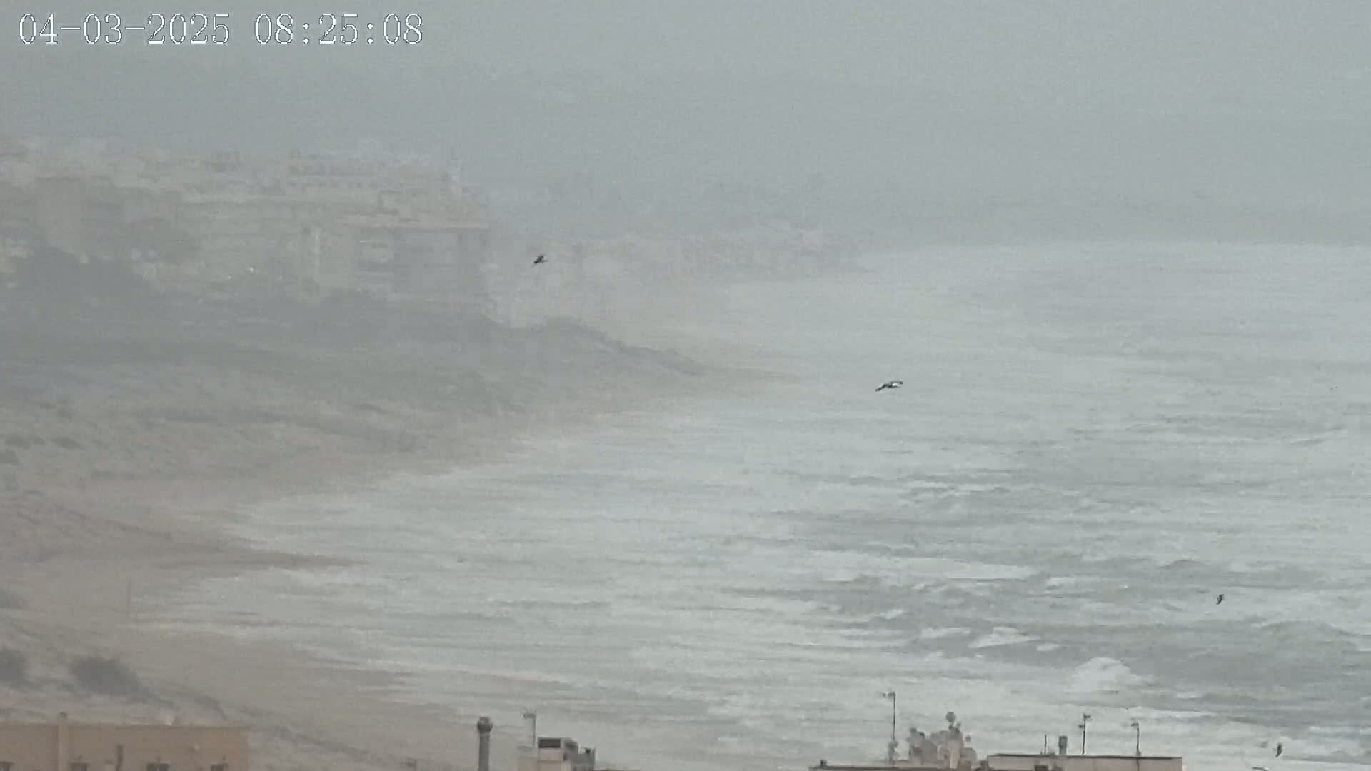 A foggy, overcast day shows a rough sea with a few birds flying near a coastline with buildings.
