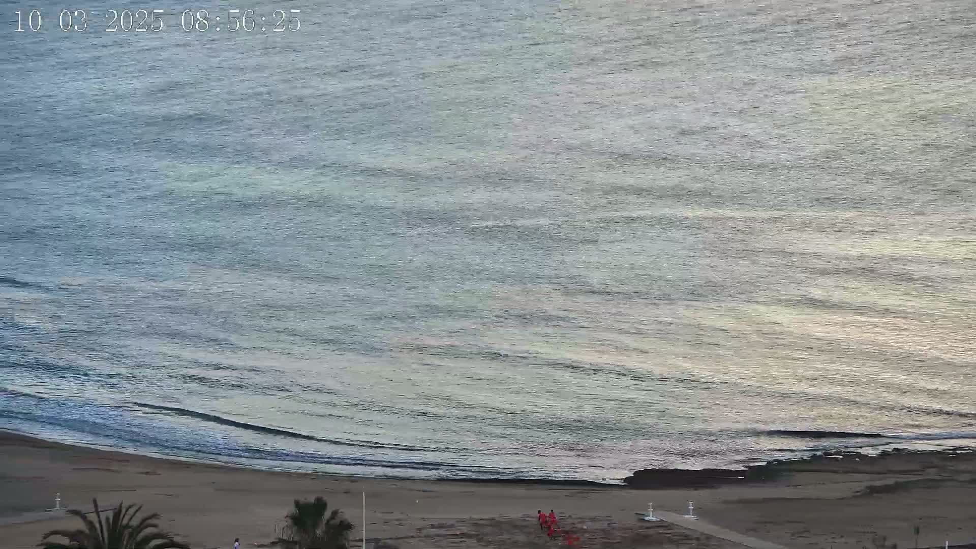 A sandy beach meets a calm, gray-blue ocean under a mostly clear sky.