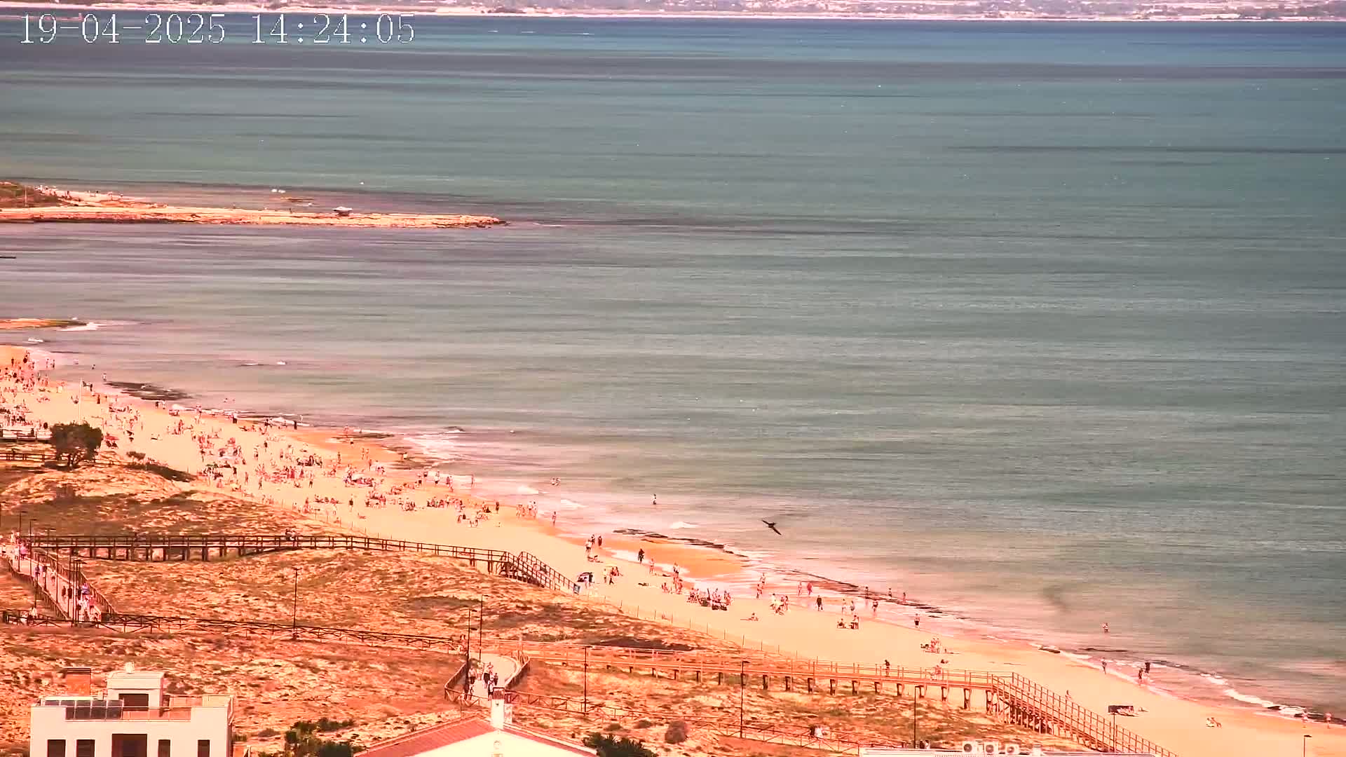 A sandy beach with many people on it slopes down to a calm, teal ocean under a sunny sky.