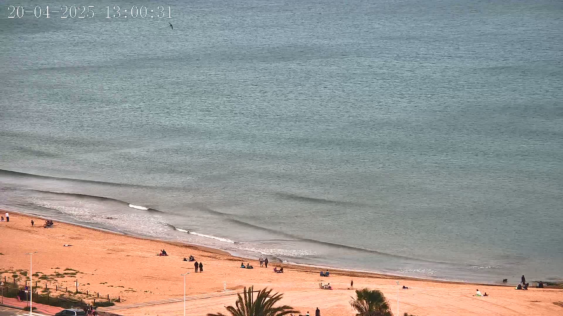 A sandy beach with scattered people stretches along a calm, gray-blue sea under a seemingly clear sky.