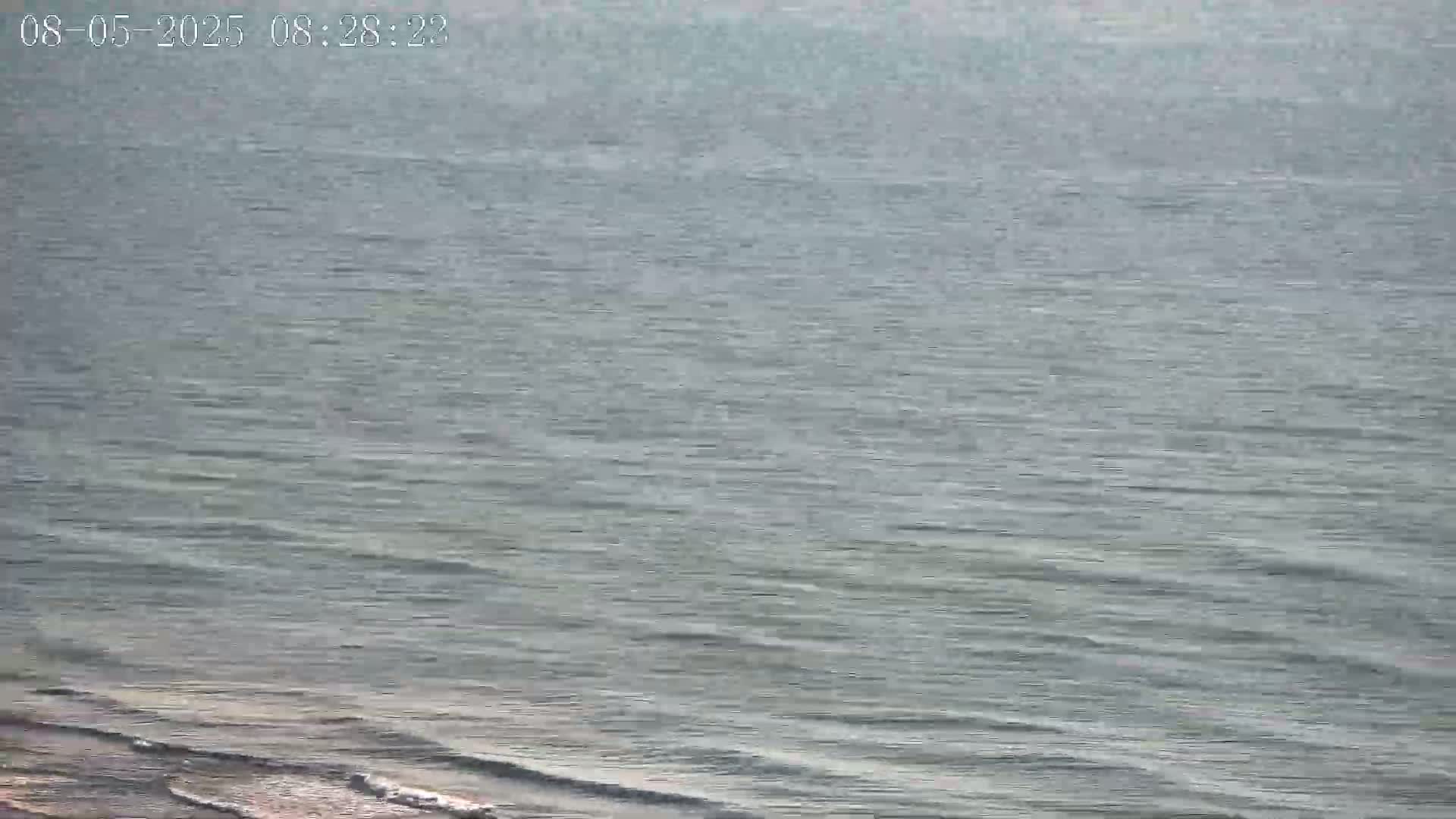 A body of water with small waves is visible under an overcast sky.