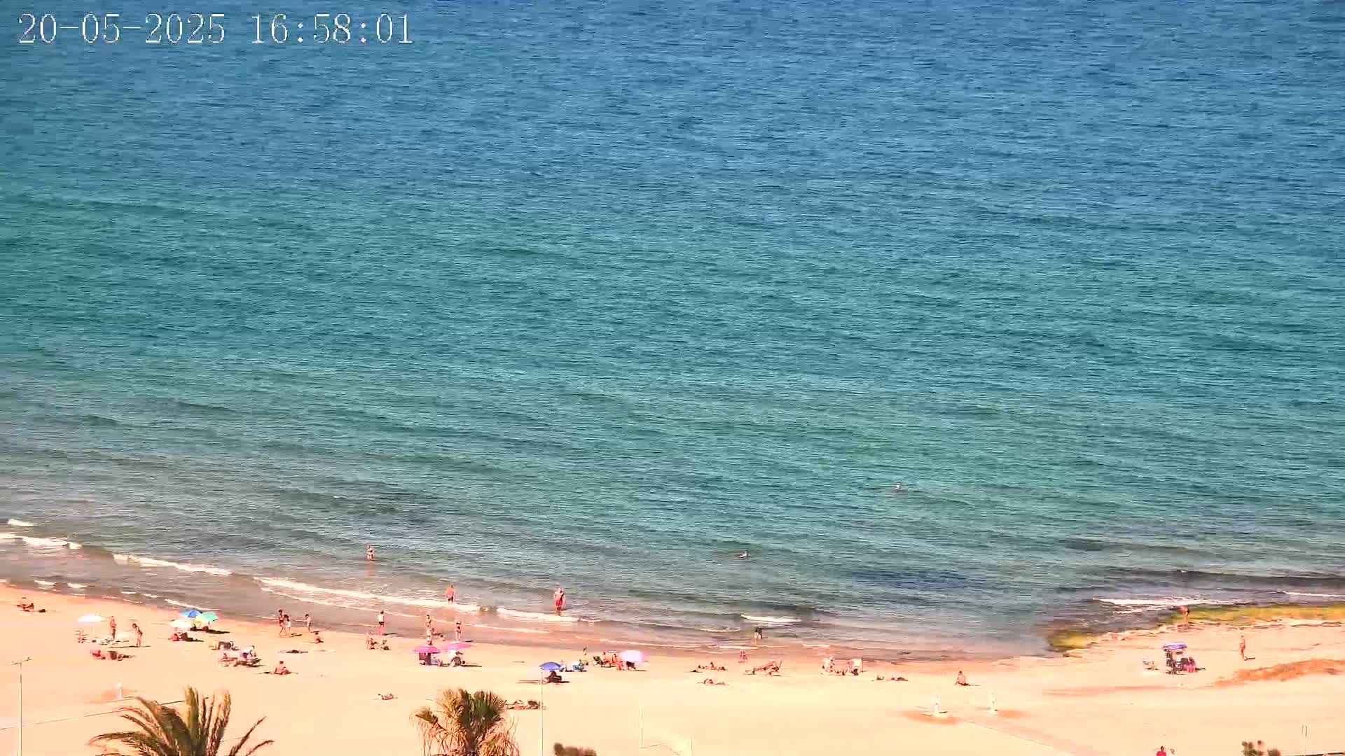 A sandy beach with scattered sunbathers and a calm, teal-colored ocean under a clear sky.
