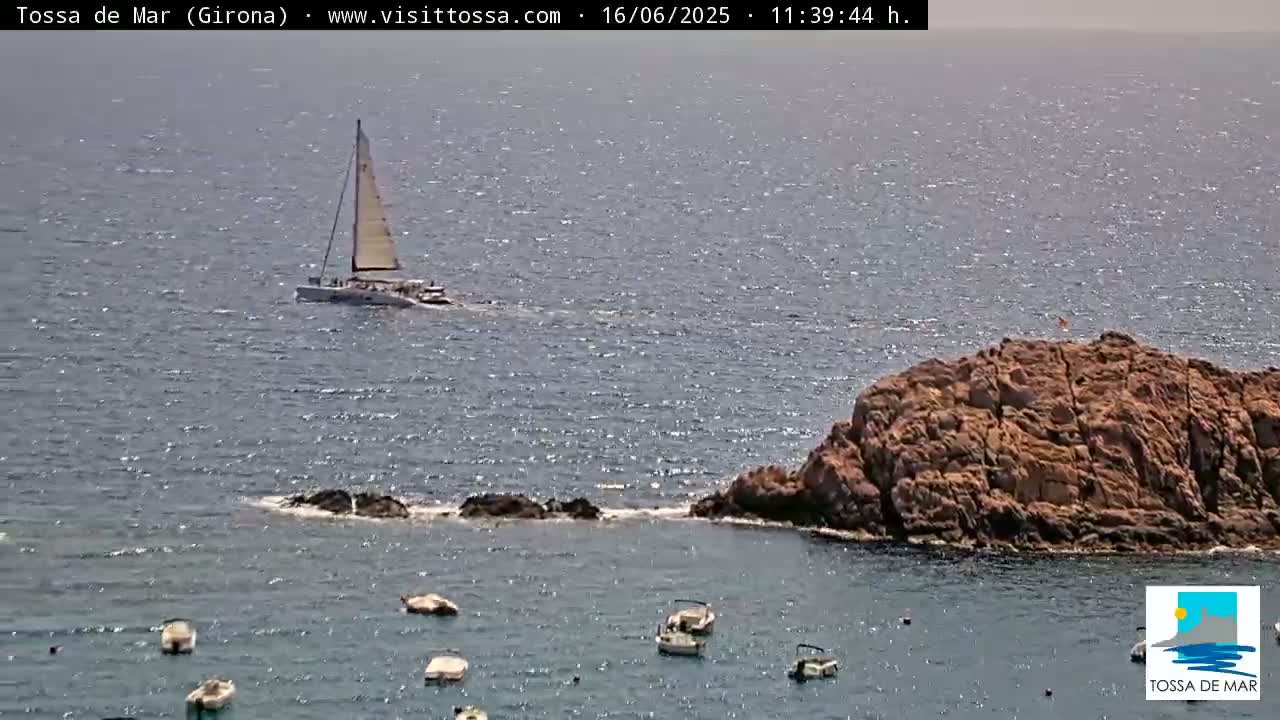 A sailboat and several small motorboats are in a calm, sunny ocean near a rocky outcropping.