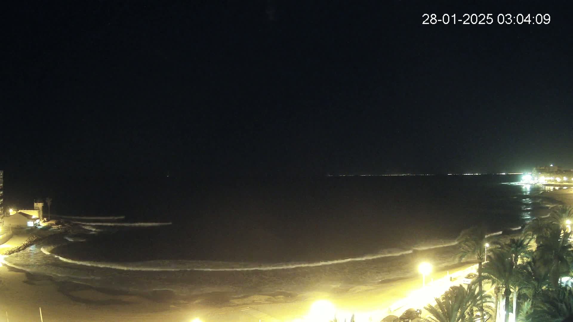 A dark nighttime beach scene shows gently rolling waves lapping a sandy shore, illuminated by streetlights among palm trees.