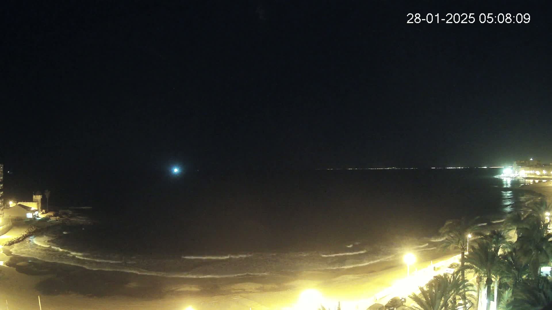 A nighttime coastal scene shows a dark, wavy ocean under a clear, starless sky, with illuminated palm trees and buildings along a sandy beach.