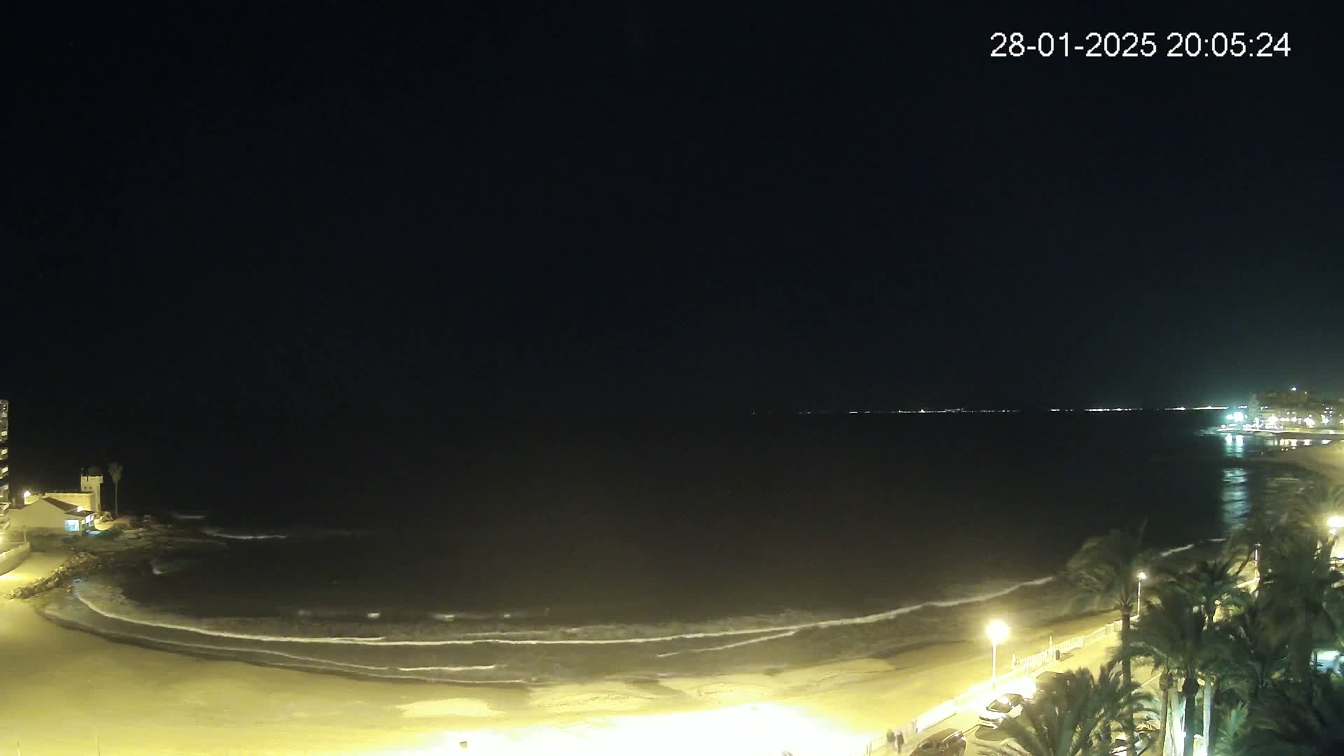 A nighttime view of a sandy beach with gentle waves lapping the shore, illuminated by streetlights, with palm trees and buildings visible in the foreground and background under a clear, dark sky.