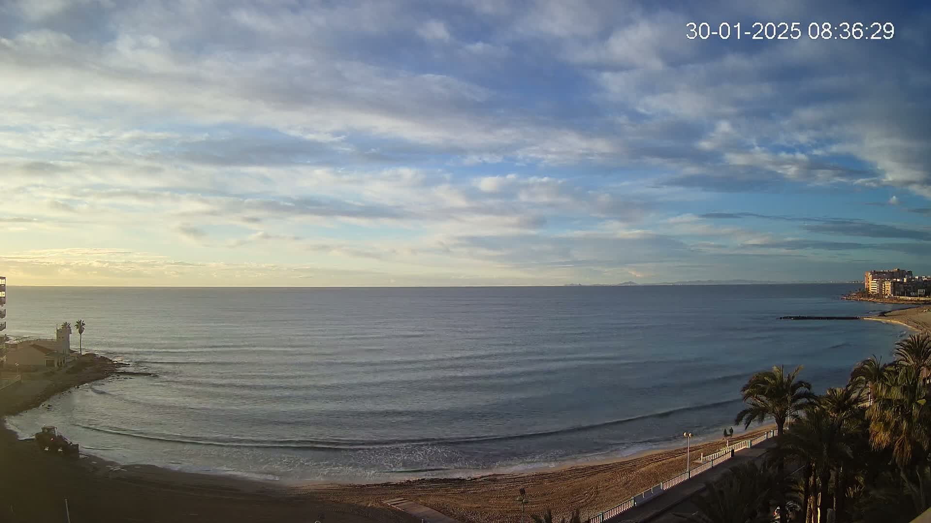 A mostly sunny day with scattered clouds shows a calm ocean with small waves lapping a sandy beach lined with palm trees and buildings in the distance.