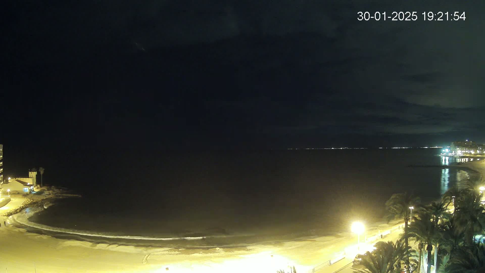 A nighttime view of a calm ocean shore with a sandy beach, palm trees lining a paved walkway, and buildings visible in the distance under a dark, cloudy sky.