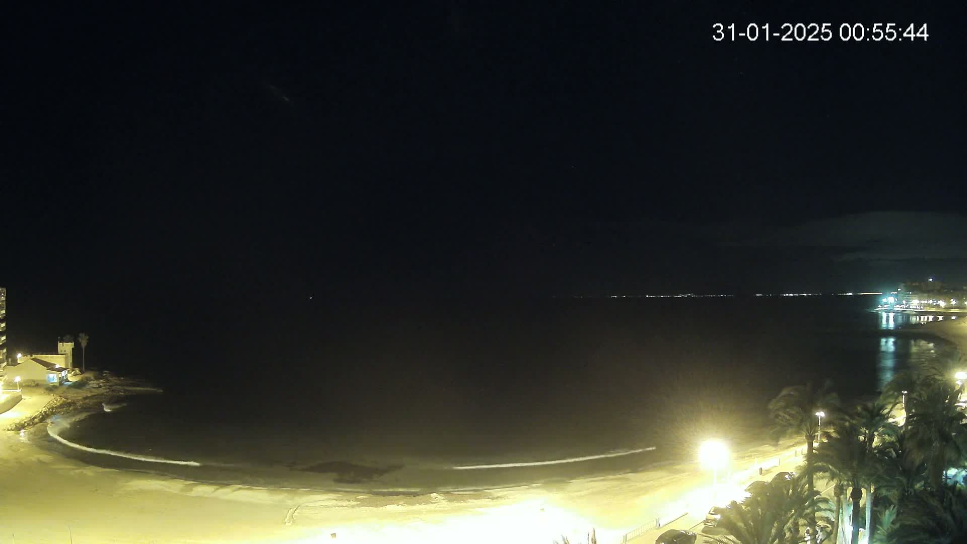 A nighttime view of a calm ocean lapping a sandy beach lined with palm trees and streetlights.