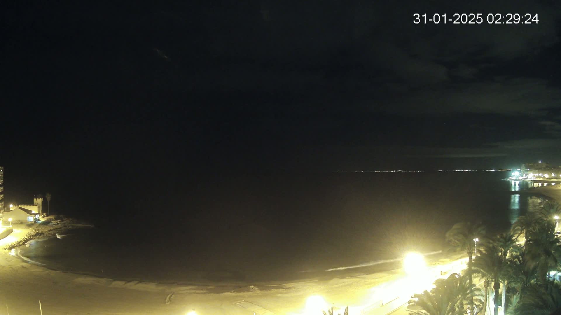A nighttime view of a beach with calm water, illuminated by streetlights and lined with palm trees, under a partly cloudy sky.