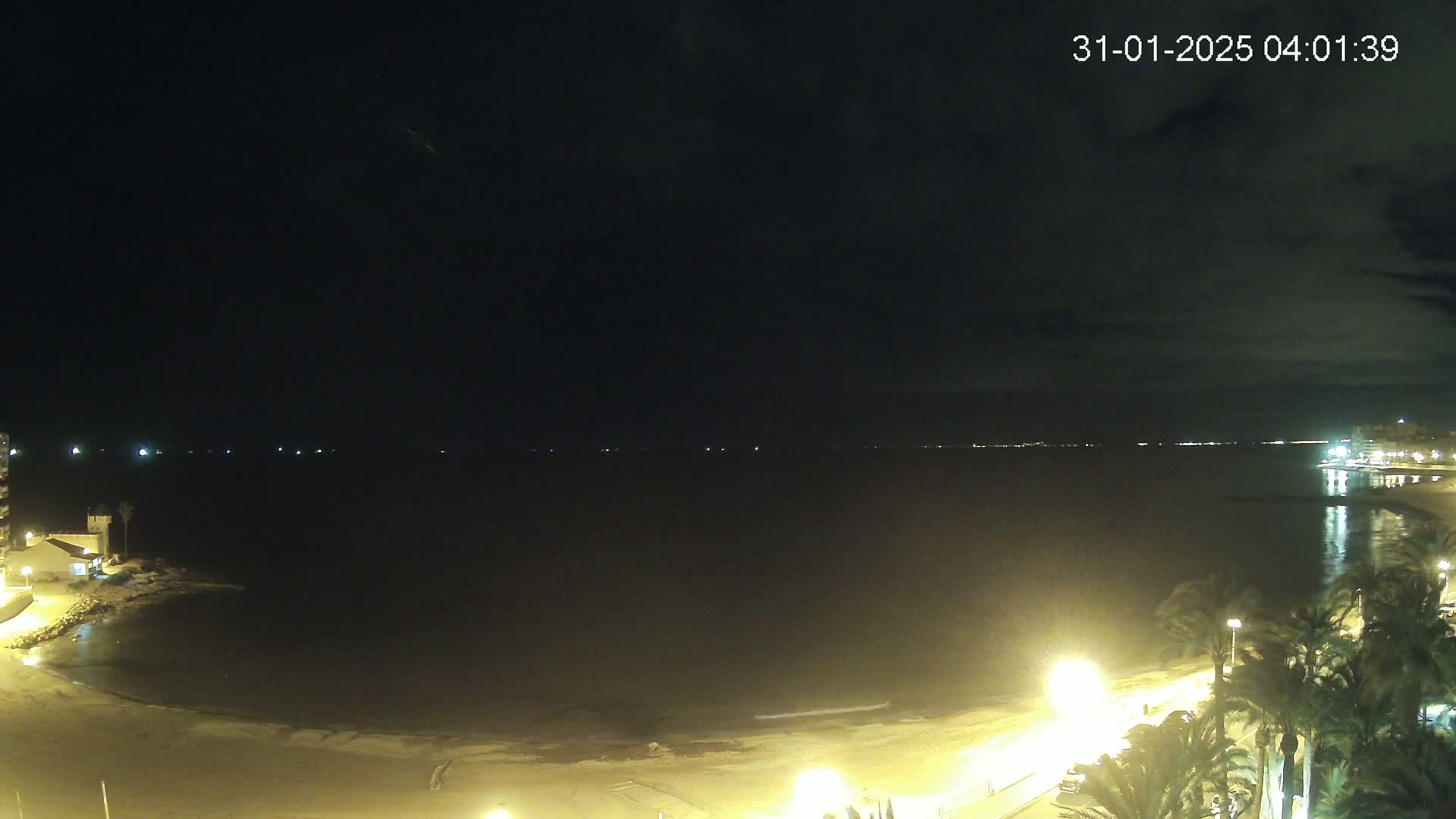 A nighttime view of a dark, calm sea with a sandy beach and palm trees illuminated by artificial lights under a mostly clear sky.