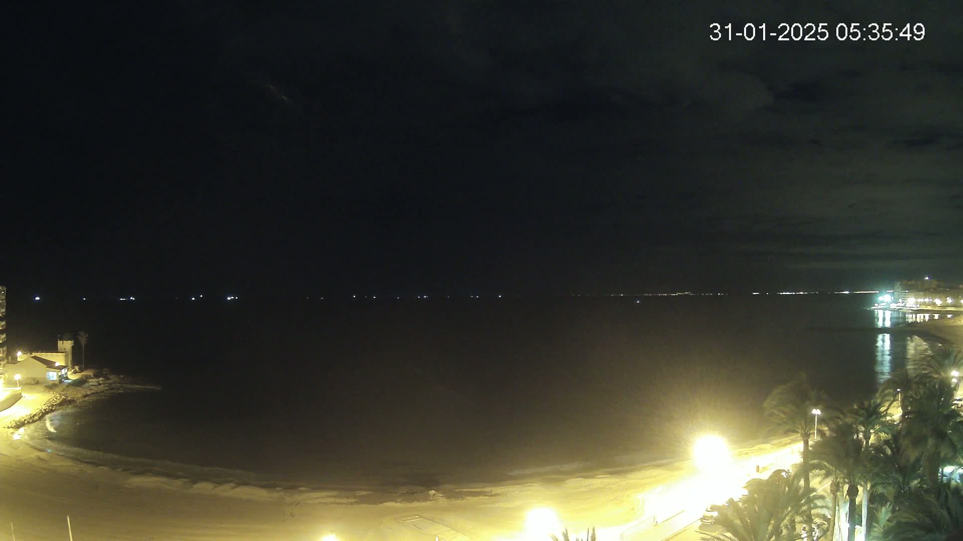 A dark, nighttime beach scene shows a calm body of water, illuminated by lights along the shore and palm trees, under a mostly cloudy sky.