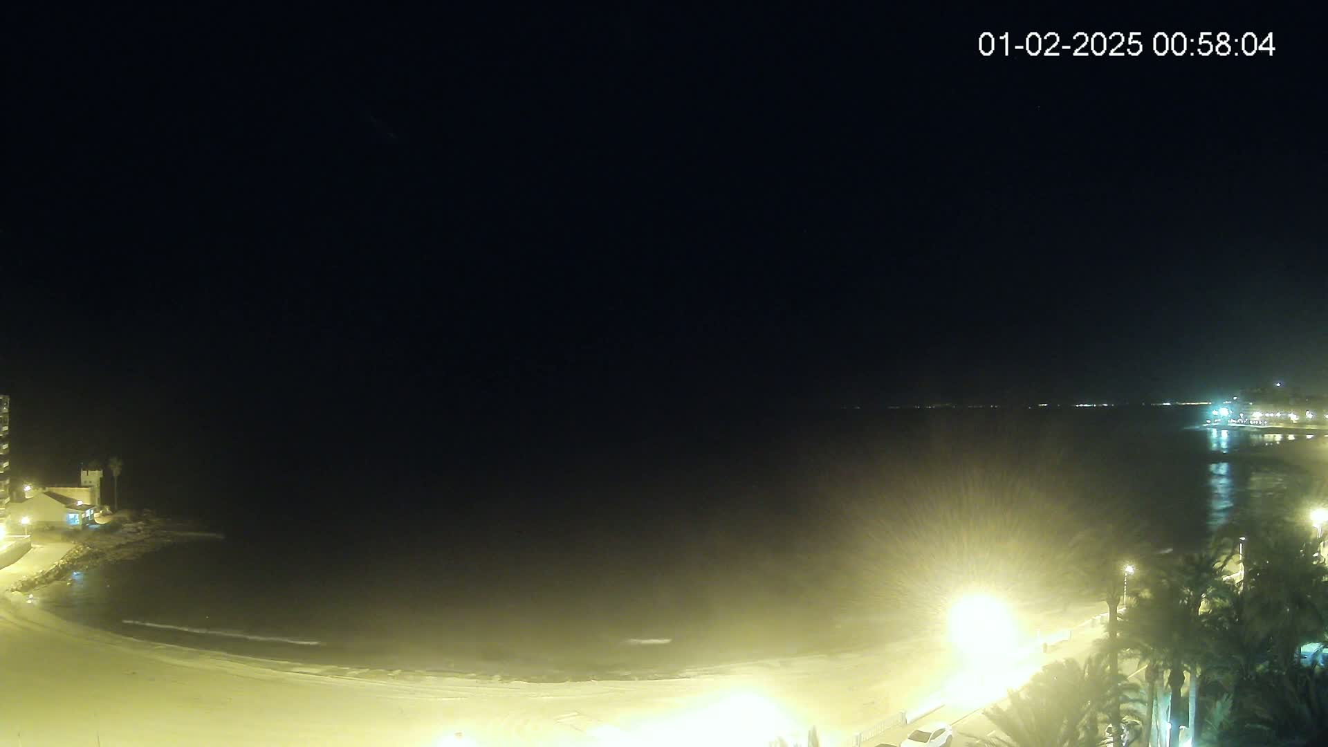 A nighttime coastal scene shows a dark ocean with small waves lapping a sandy beach illuminated by streetlights, with palm trees and buildings visible along the shore under a clear, dark sky.