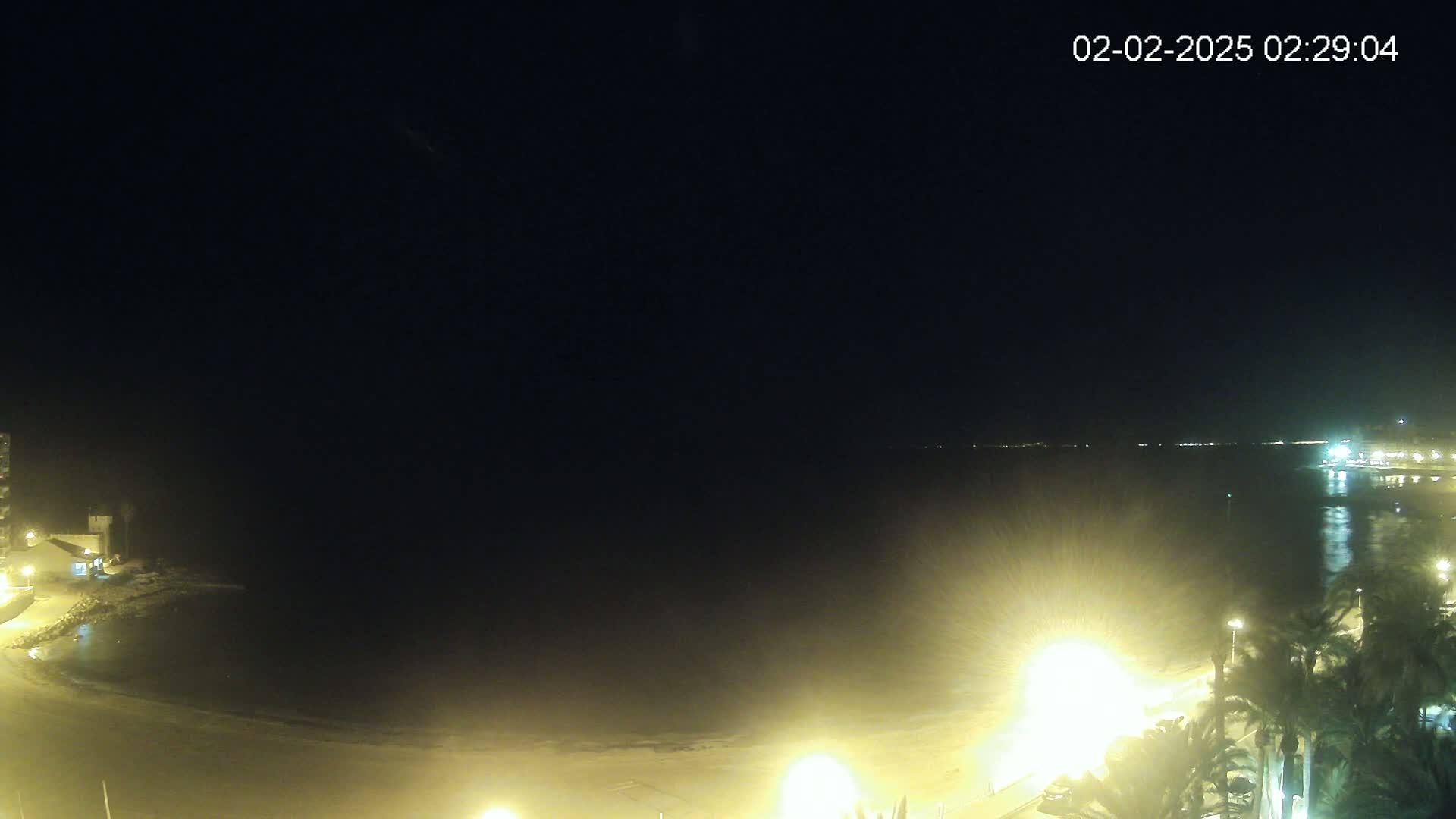 A nighttime view of a calm, dark ocean, a dimly lit beach, and palm trees along a promenade.