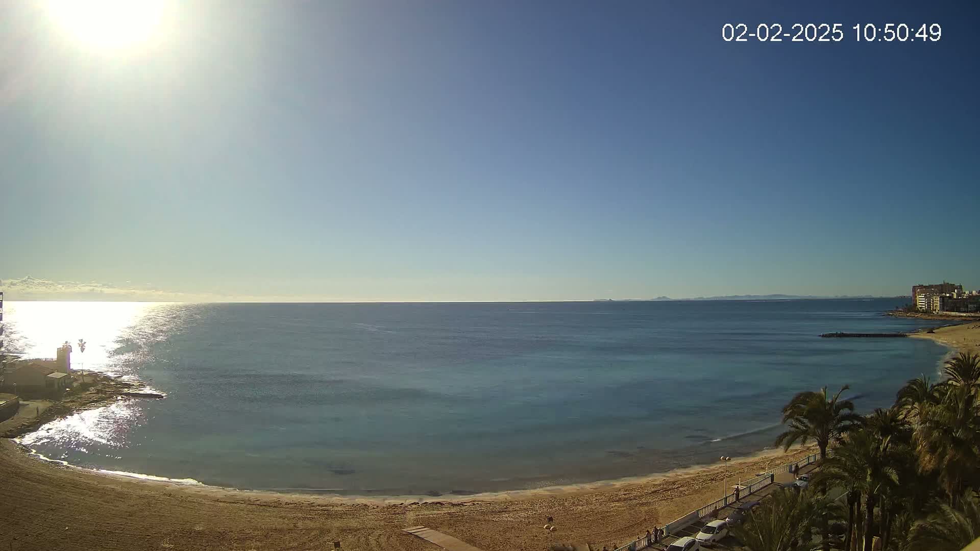A sunny day reveals a calm, teal ocean meeting a sandy beach lined with palm trees and a distant shoreline.