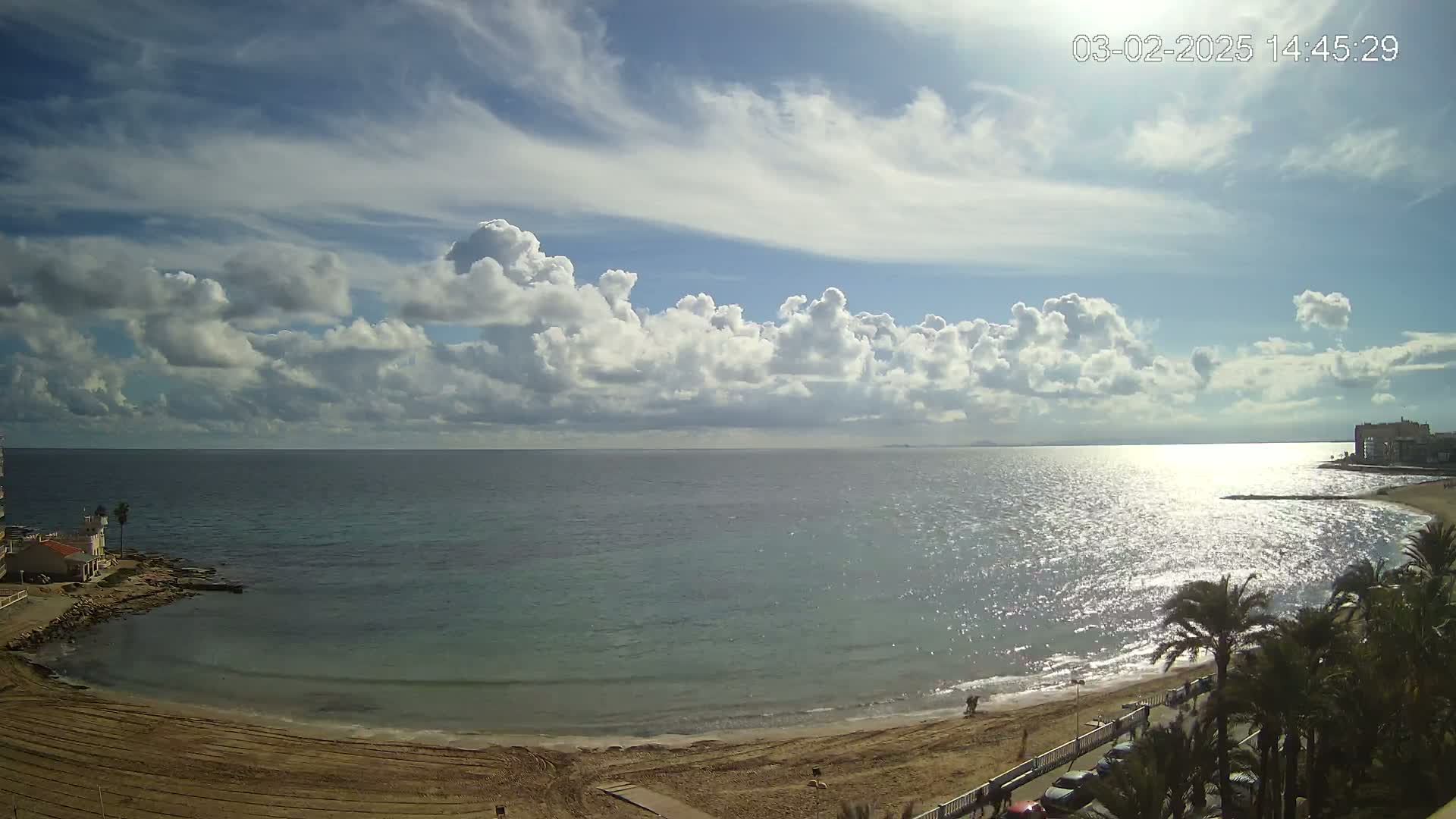 A partly cloudy day shows a sandy beach, calm ocean, and palm trees lining the shore.