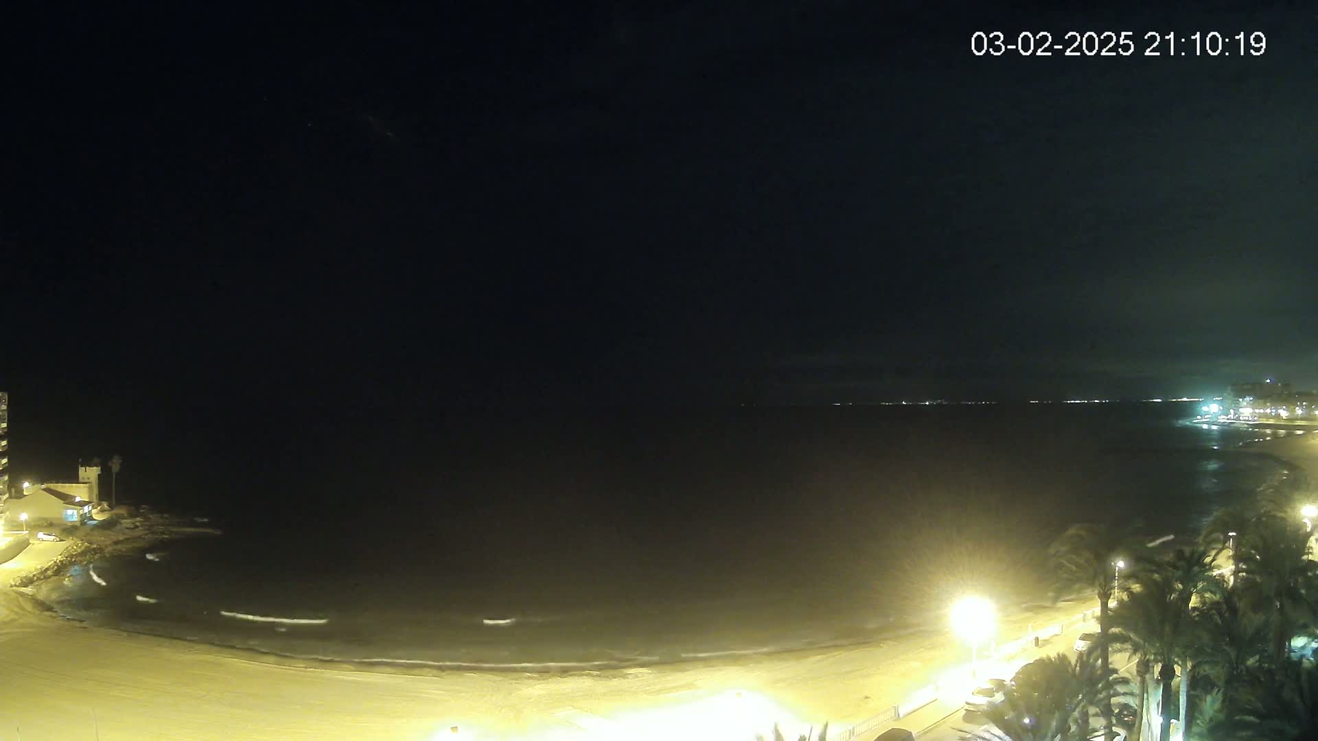 A nighttime view of a sandy beach with gentle waves lapping the shore, palm trees lining a nearby road, and buildings visible in the distance under a dark, clear sky.