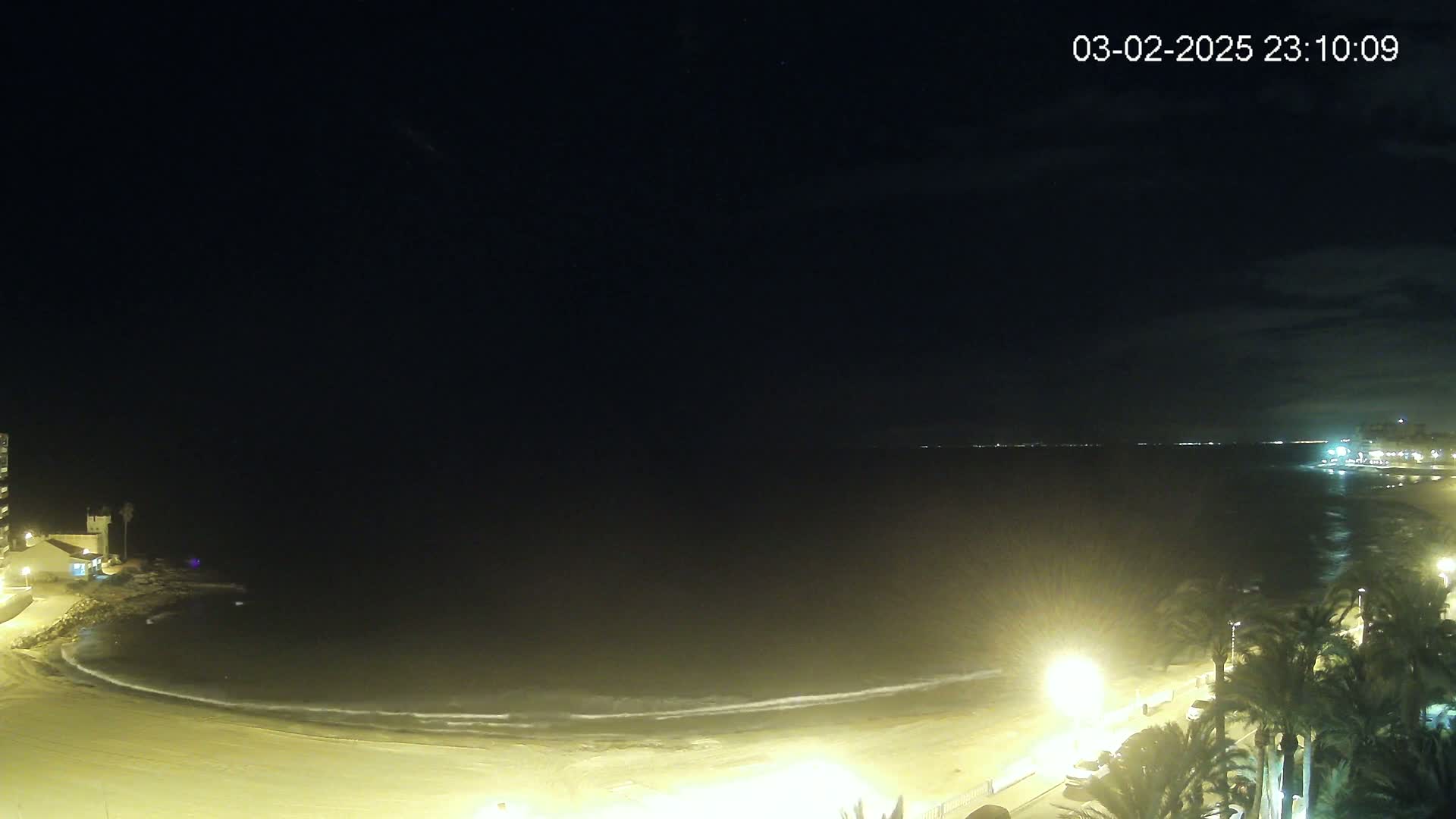 A nighttime view of a calm ocean beach with palm trees and lights along the shoreline under a dark, mostly clear sky.