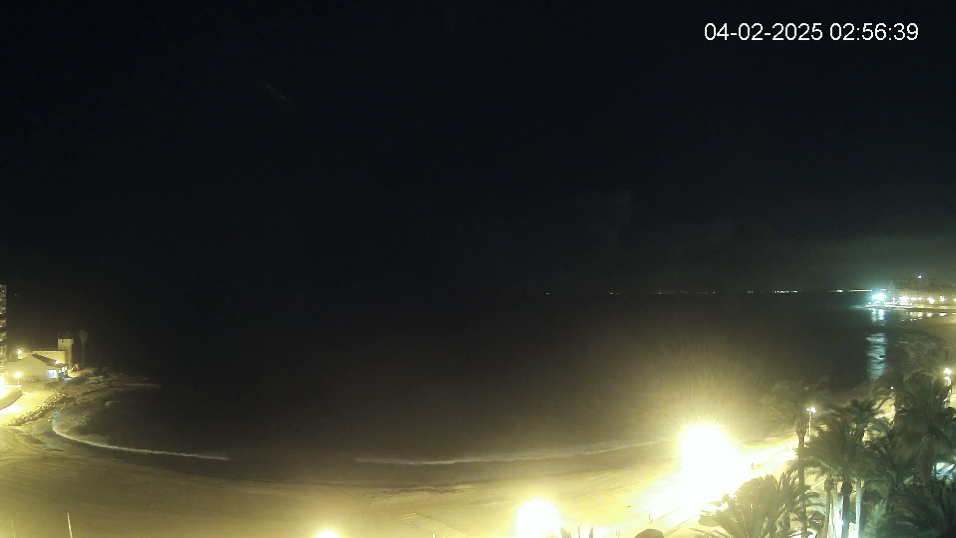 A nighttime view of a calm ocean beach with palm trees and lights along the shore under a clear, dark sky.