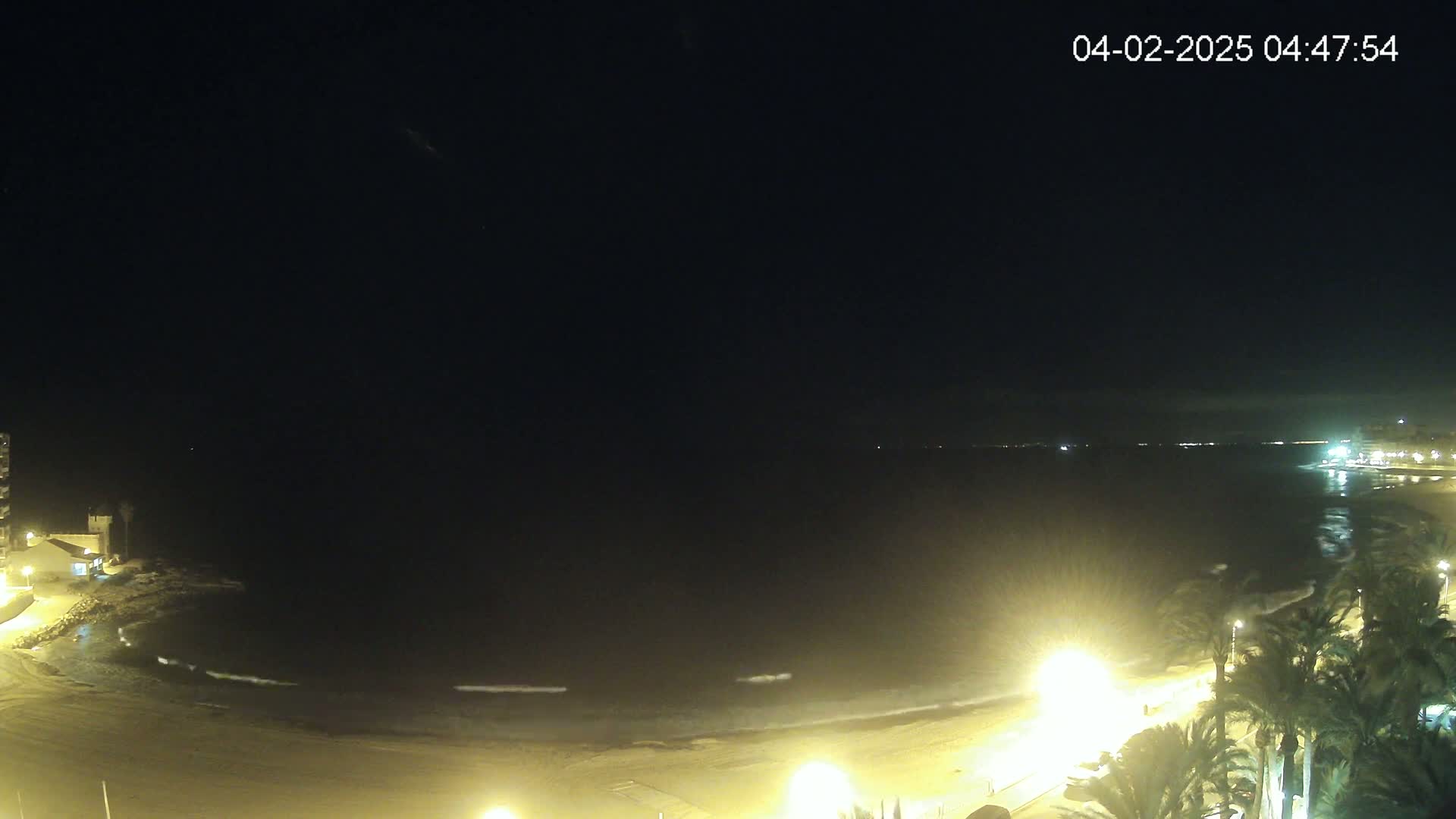A nighttime, low-angle view of a dark ocean shore with gently lapping waves, illuminated by streetlights along a palm-tree-lined beach.