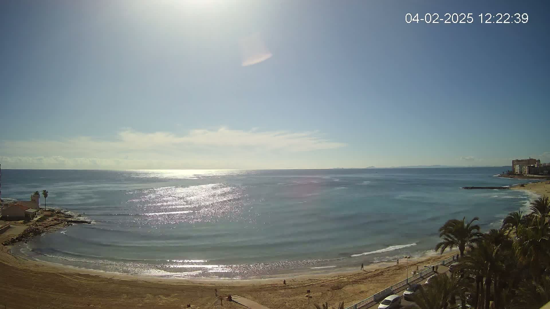 A sandy beach with palm trees and calm, sunlit water stretches to a distant coastline under a mostly clear blue sky.
