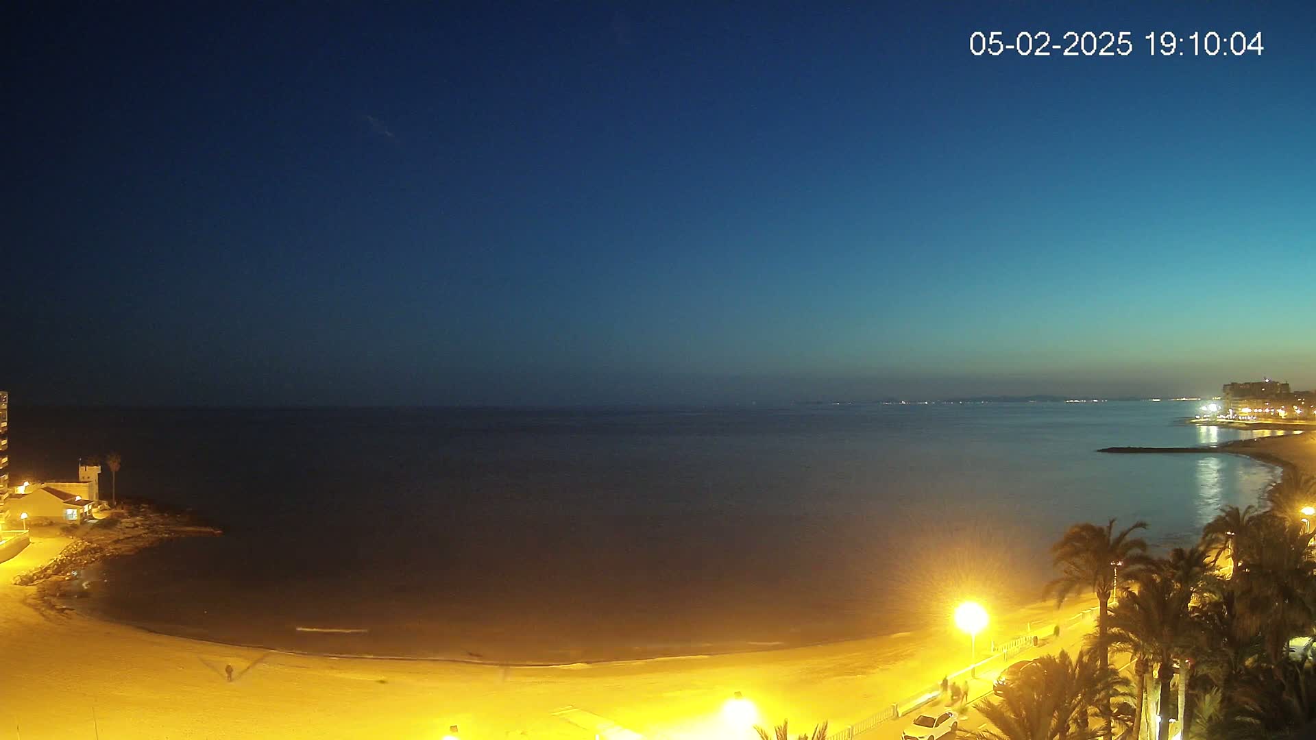 A nighttime view of a calm, dark-blue ocean beach illuminated by artificial lights, with palm trees lining the shore.