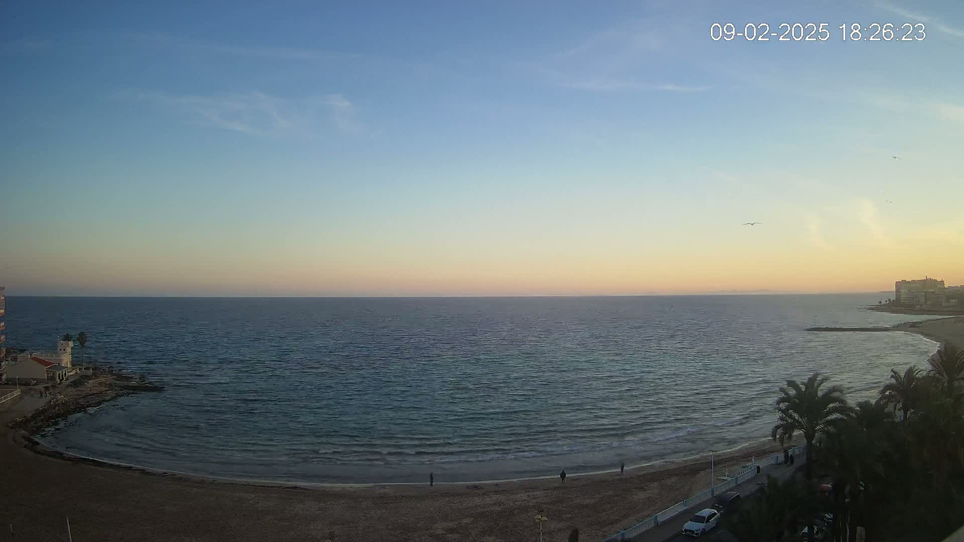 A calm sea with a sandy beach and palm trees under a clear, twilight sky.