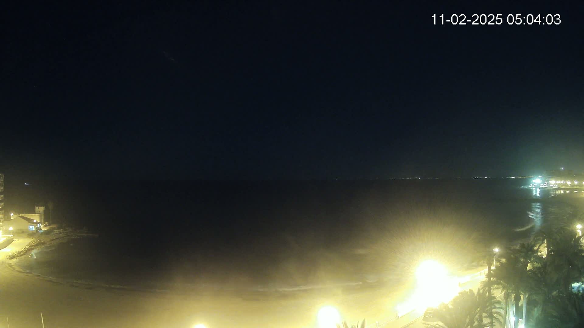 A nighttime coastal scene shows a dark ocean with gently lapping waves on a sandy beach illuminated by streetlights, with palm trees and buildings visible along the shoreline under a clear, dark sky.