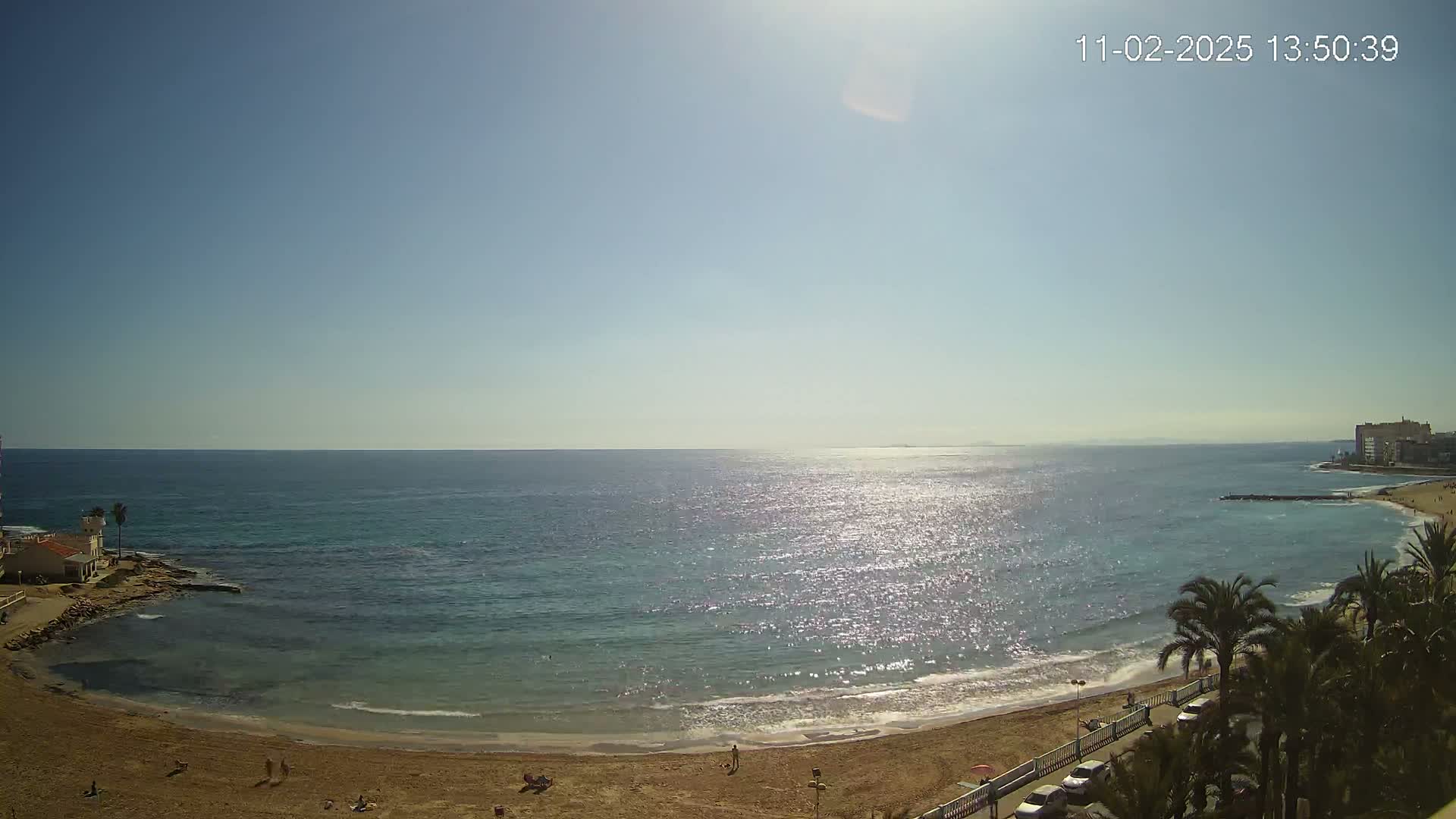 A sunny day shows a sandy beach curving along a calm, sparkling ocean, with palm trees and buildings visible in the background.
