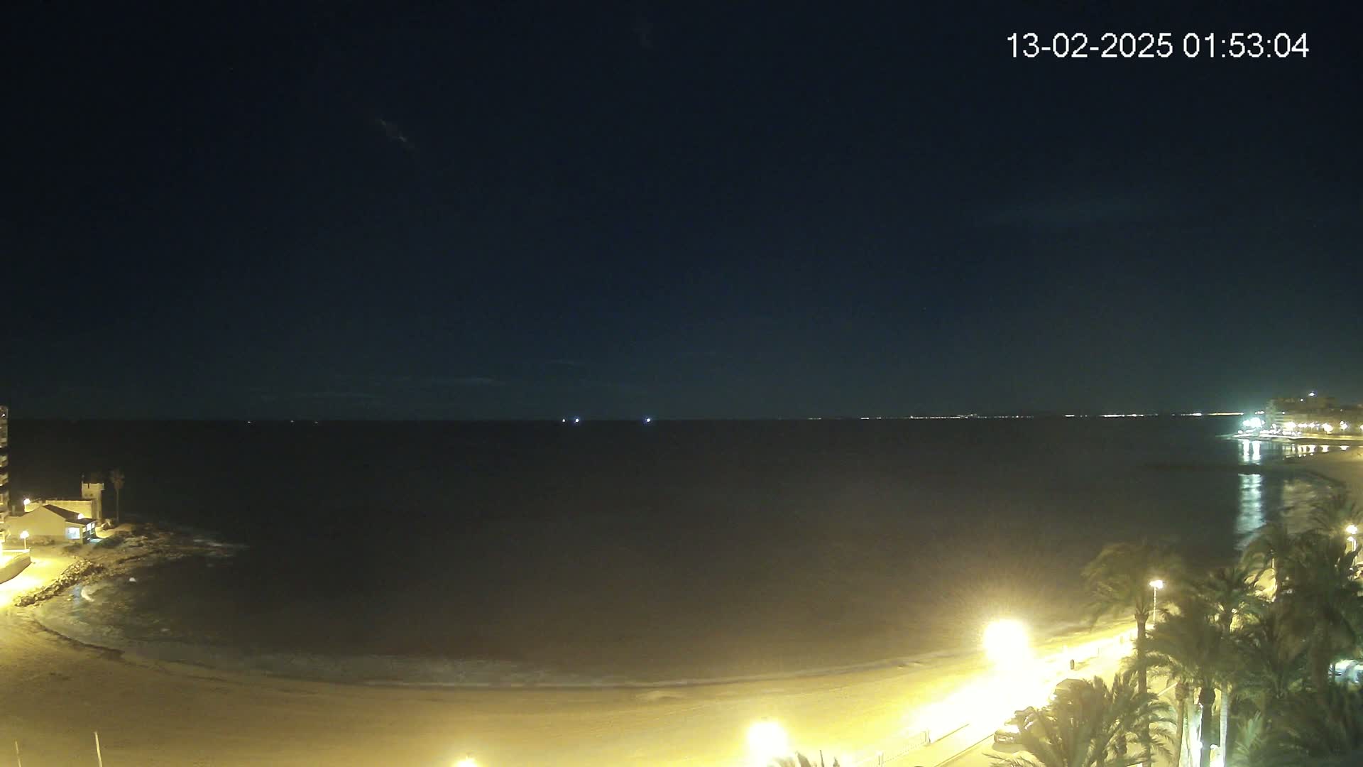 A dark, nighttime beach scene shows a calm sea under a clear, dark sky, with palm trees and lights illuminating a sandy shore.