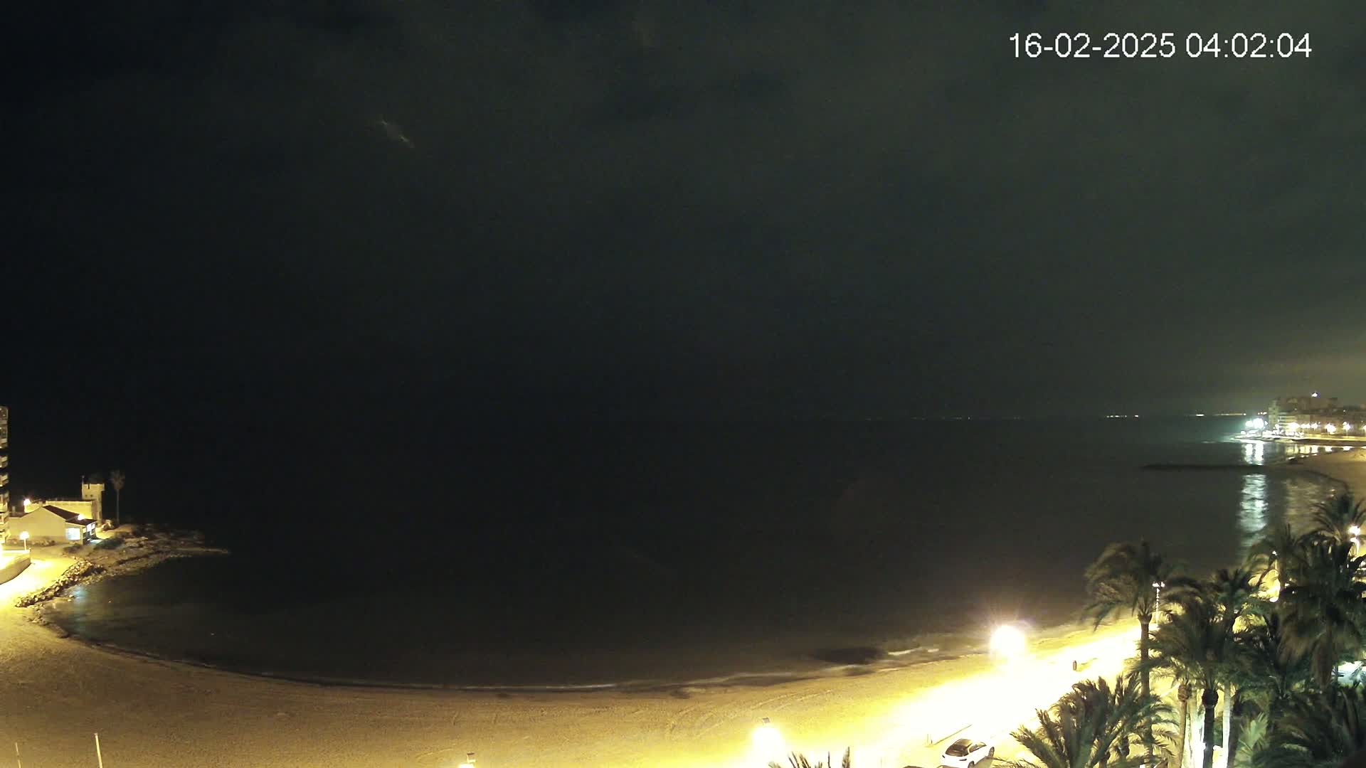 A nighttime beach scene shows a dark, calm sea under a mostly clear sky, with palm trees and lights illuminating the sandy shore and a building visible in the distance.